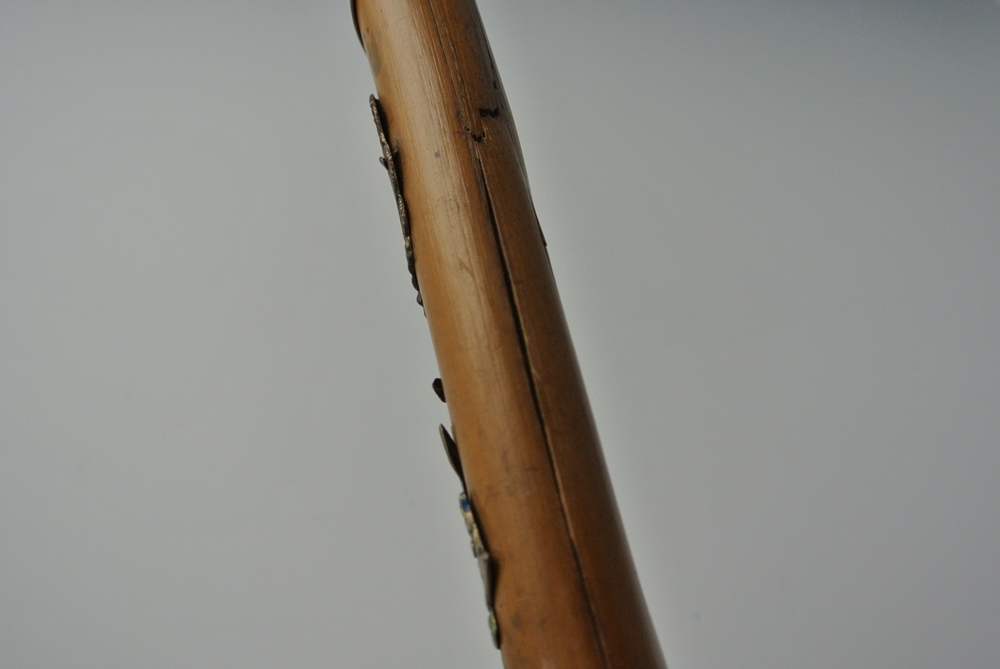 Vintage German Walking Stick with Regional Medallions