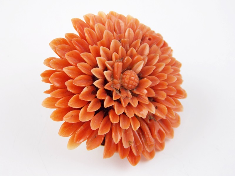 Vintage Cameo Earrings and Carved Coral Jewelry