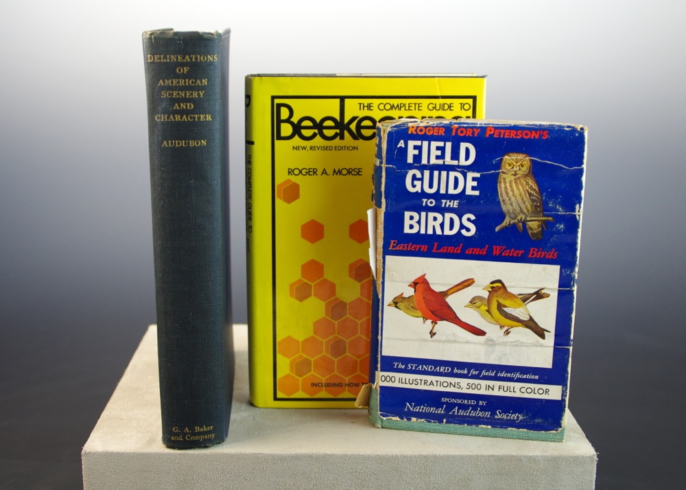 1926 Audubon Book "Delineations of American Scenery and Character" and Two More
