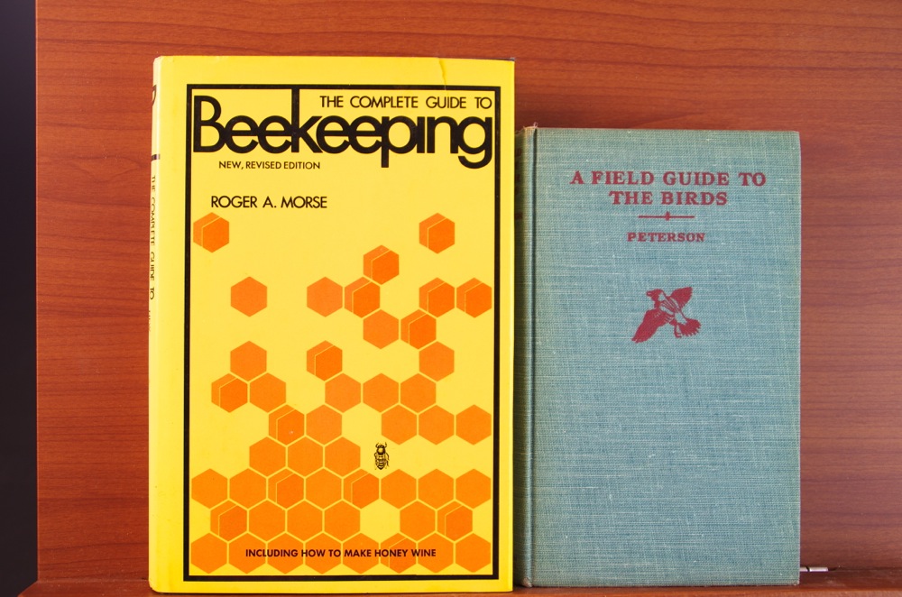 1926 Audubon Book "Delineations of American Scenery and Character" and Two More