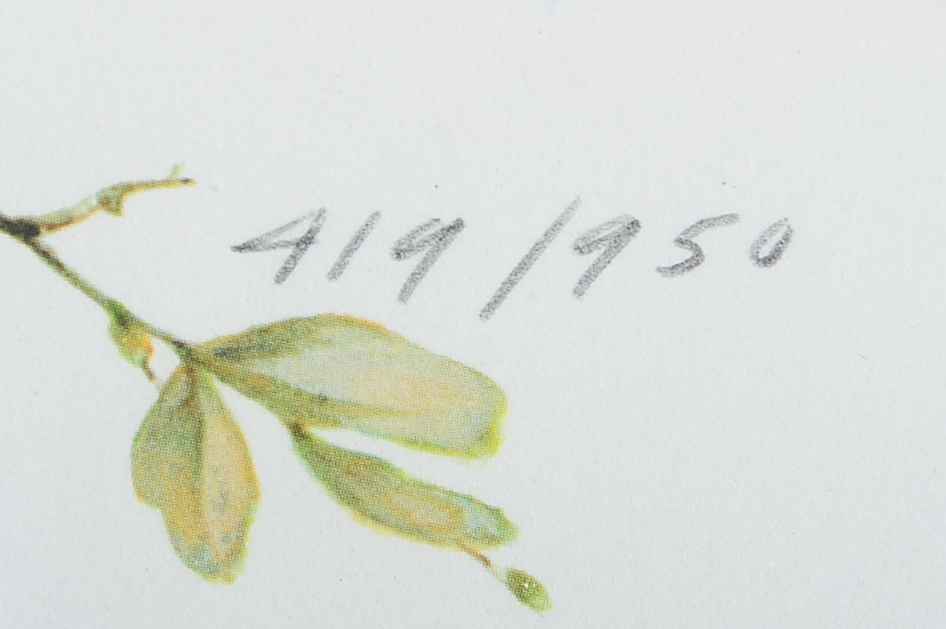 Pencil Signed and Numbered Roger Tory Peterson Print Titled "Bob-White"