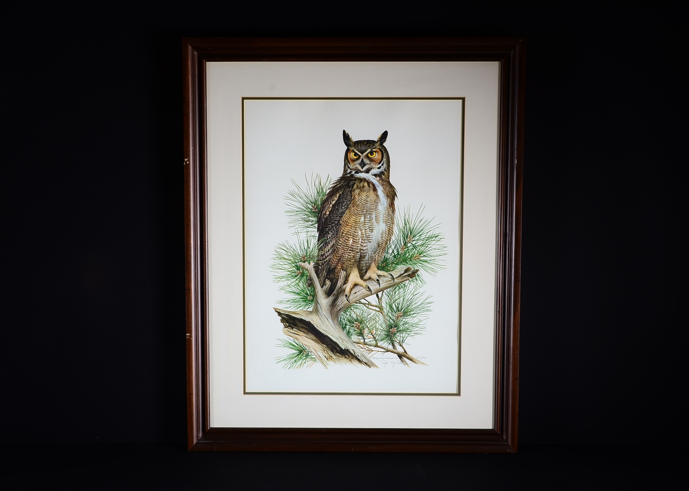 Pencil Signed and Numbered Roger Tory Peterson Print Titled "Great Horned Owl"