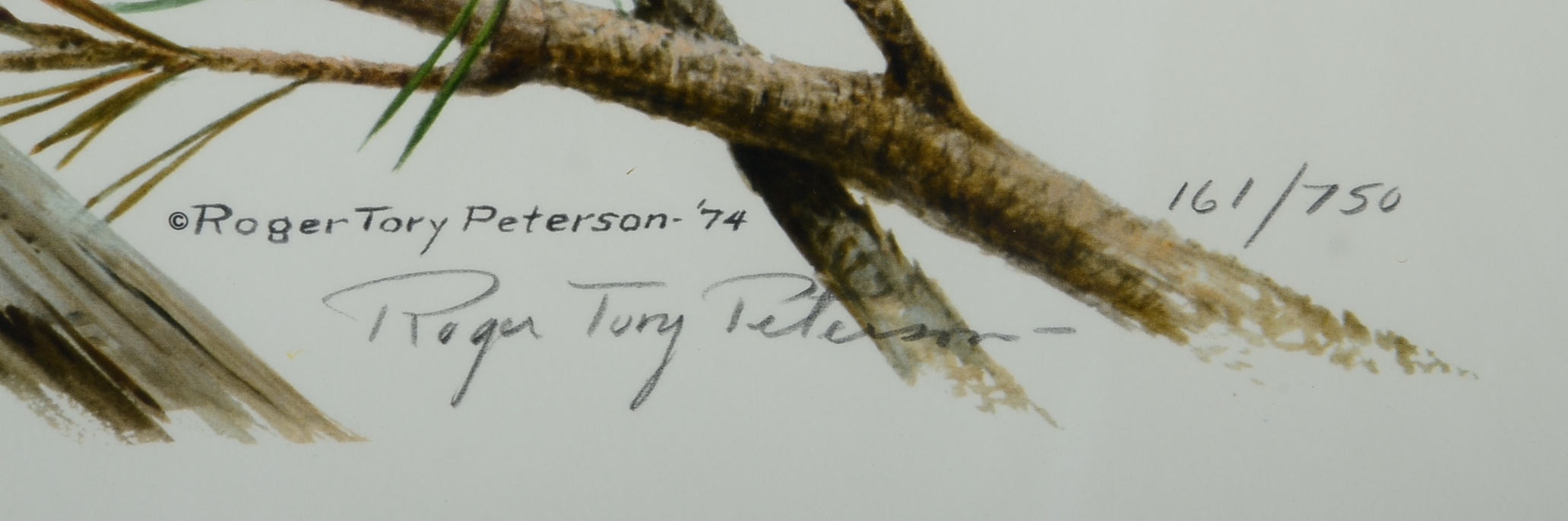 Pencil Signed and Numbered Roger Tory Peterson Print Titled "Great Horned Owl"