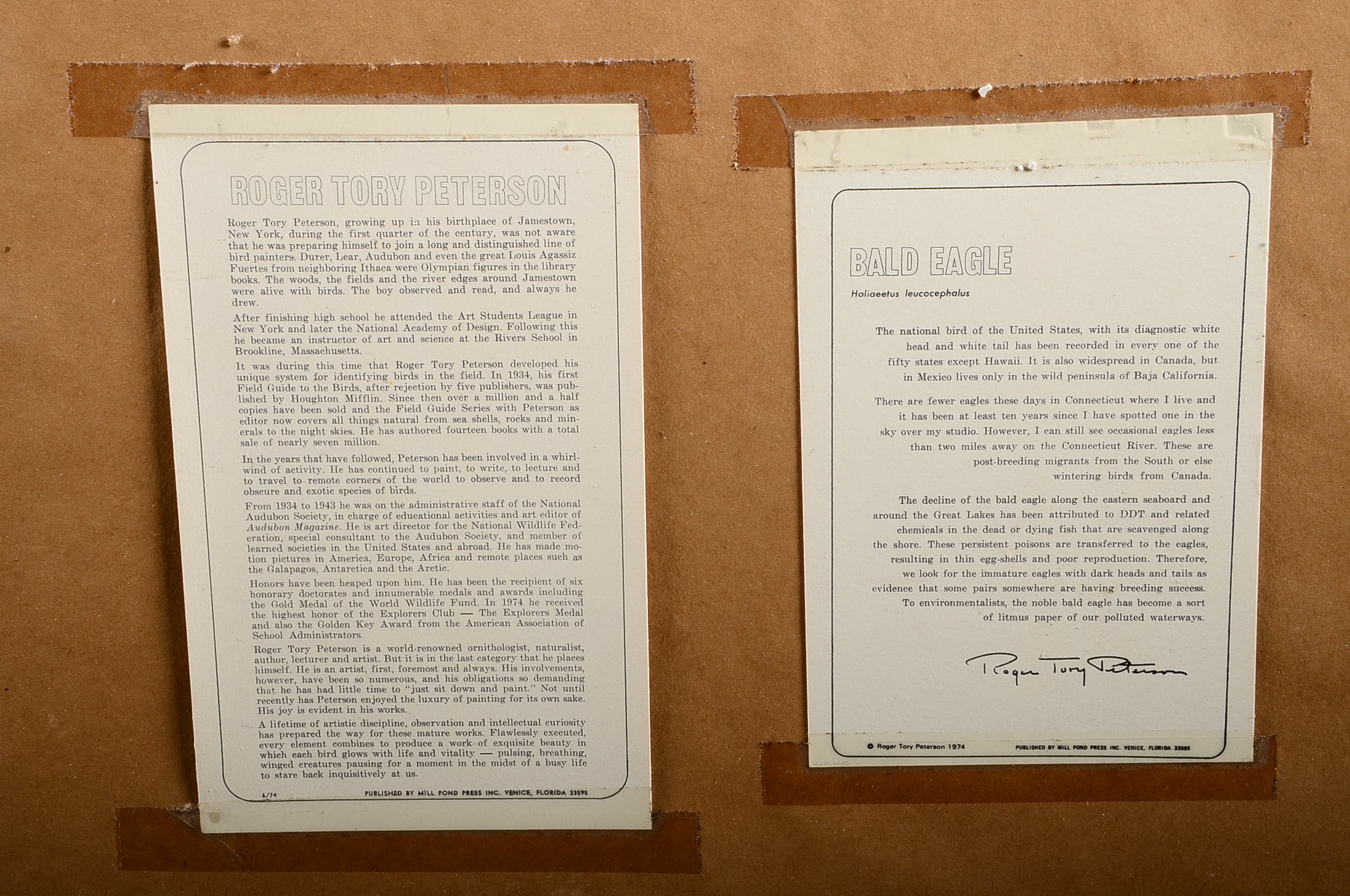 Pencil Signed and Numbered Roger Tory Peterson Print Titled "Bald Eagle"