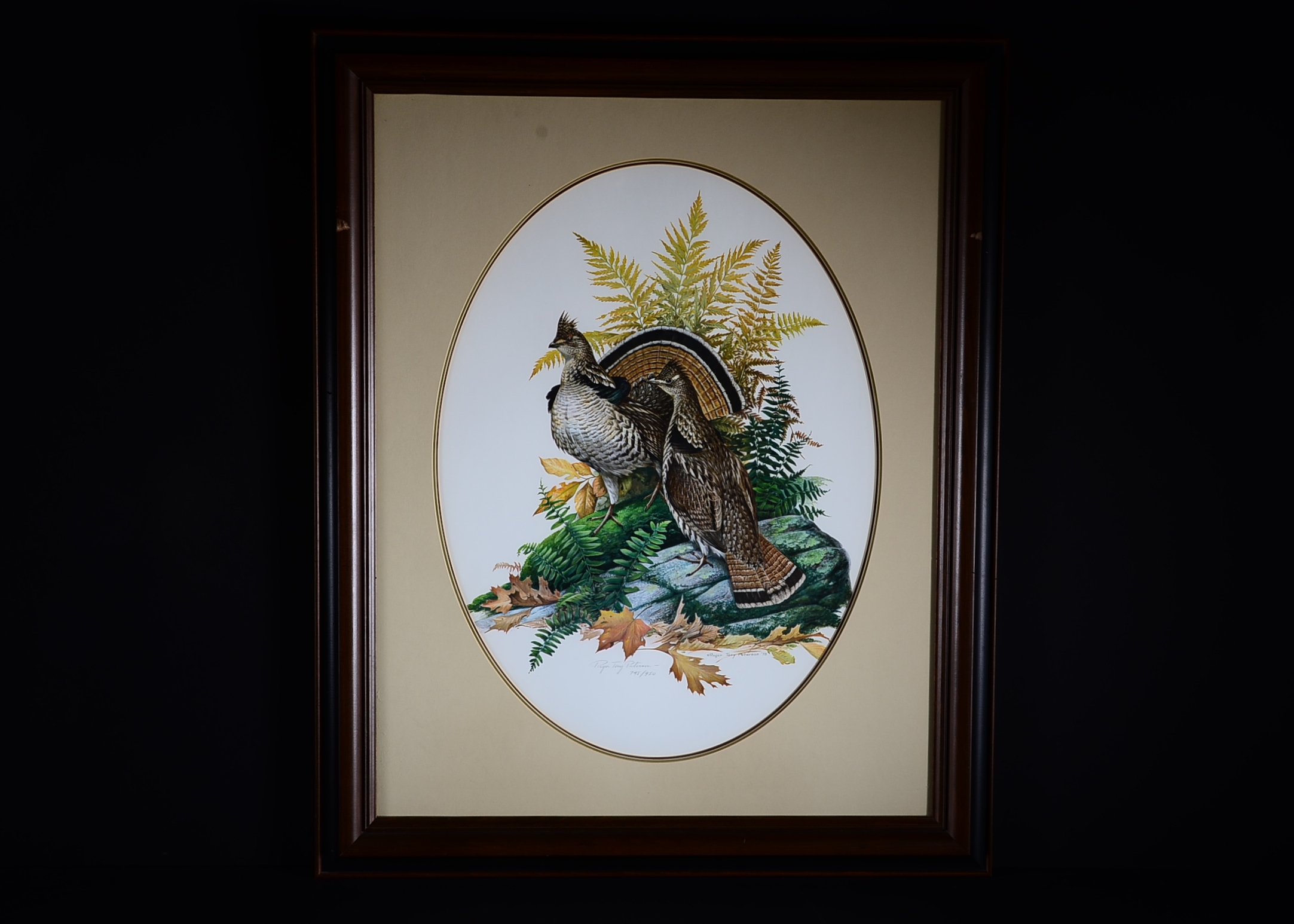 Pencil Signed and Numbered Roger Tory Peterson Print, Titled "Ruffed Grouse"