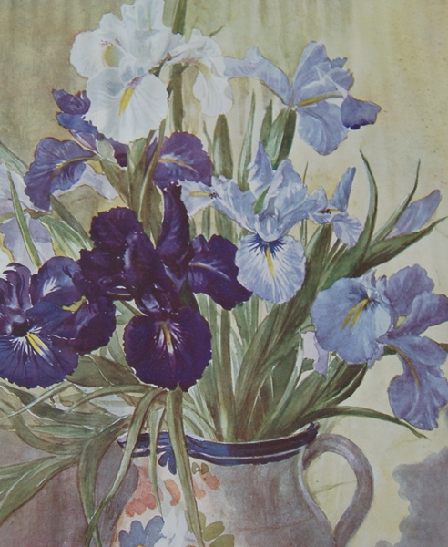 Two Winifred Walker Prints