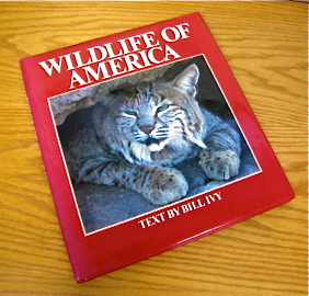 Quality Bookshelf Clean Out Lot Of Modern Books