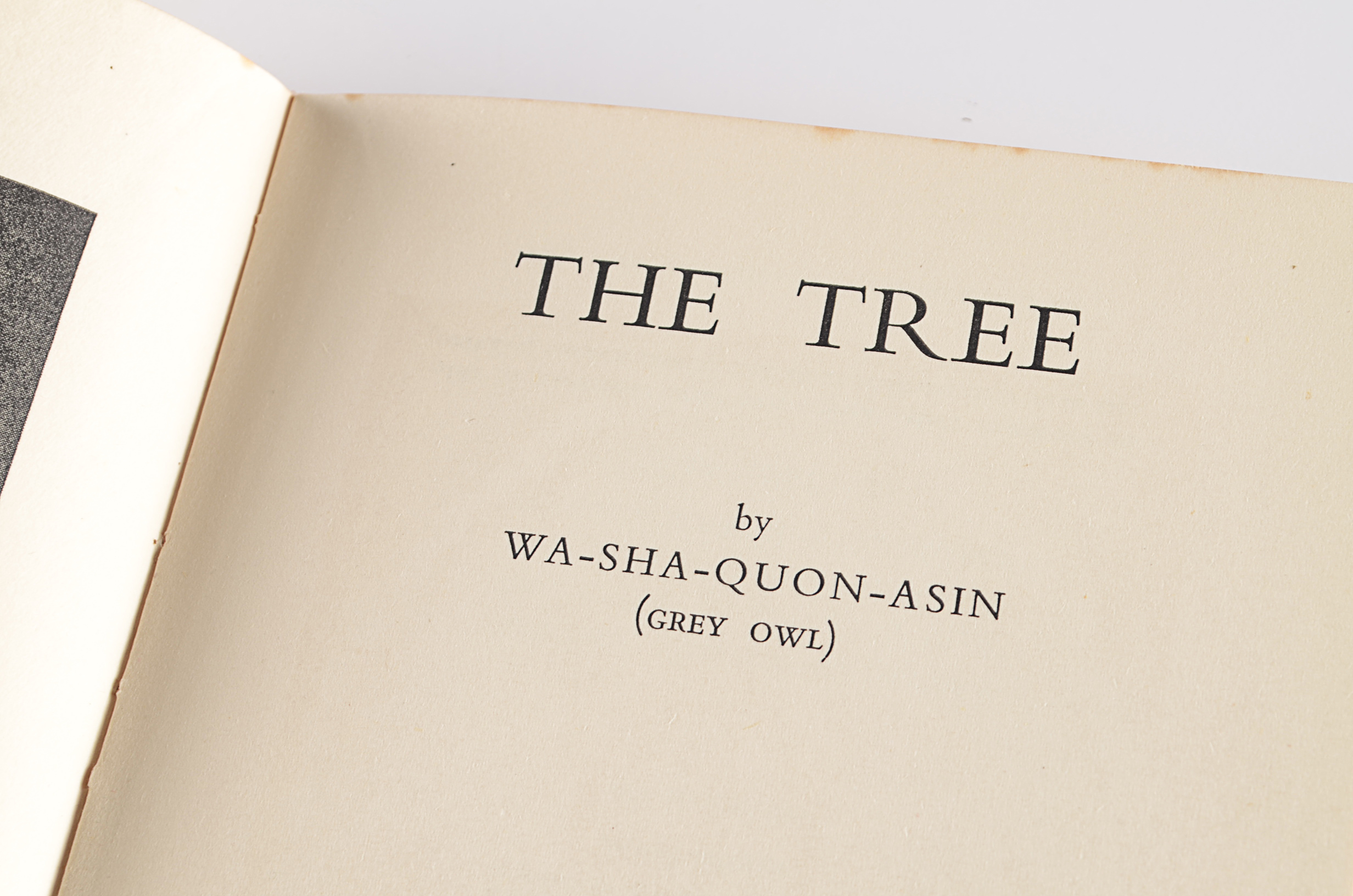 "The Tree" by Grey Owl