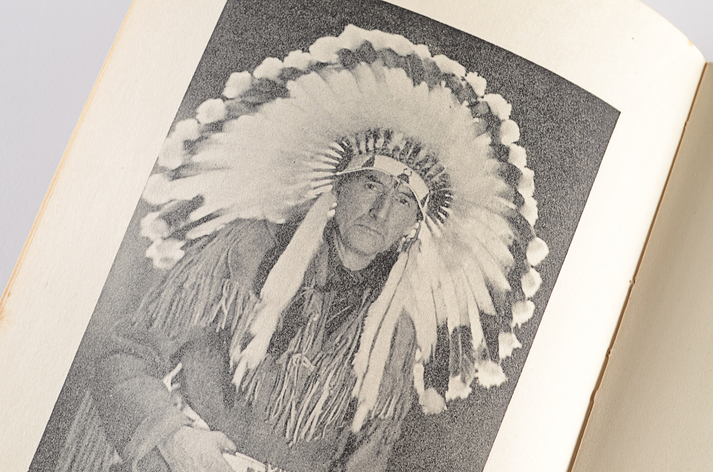 "The Tree" by Grey Owl