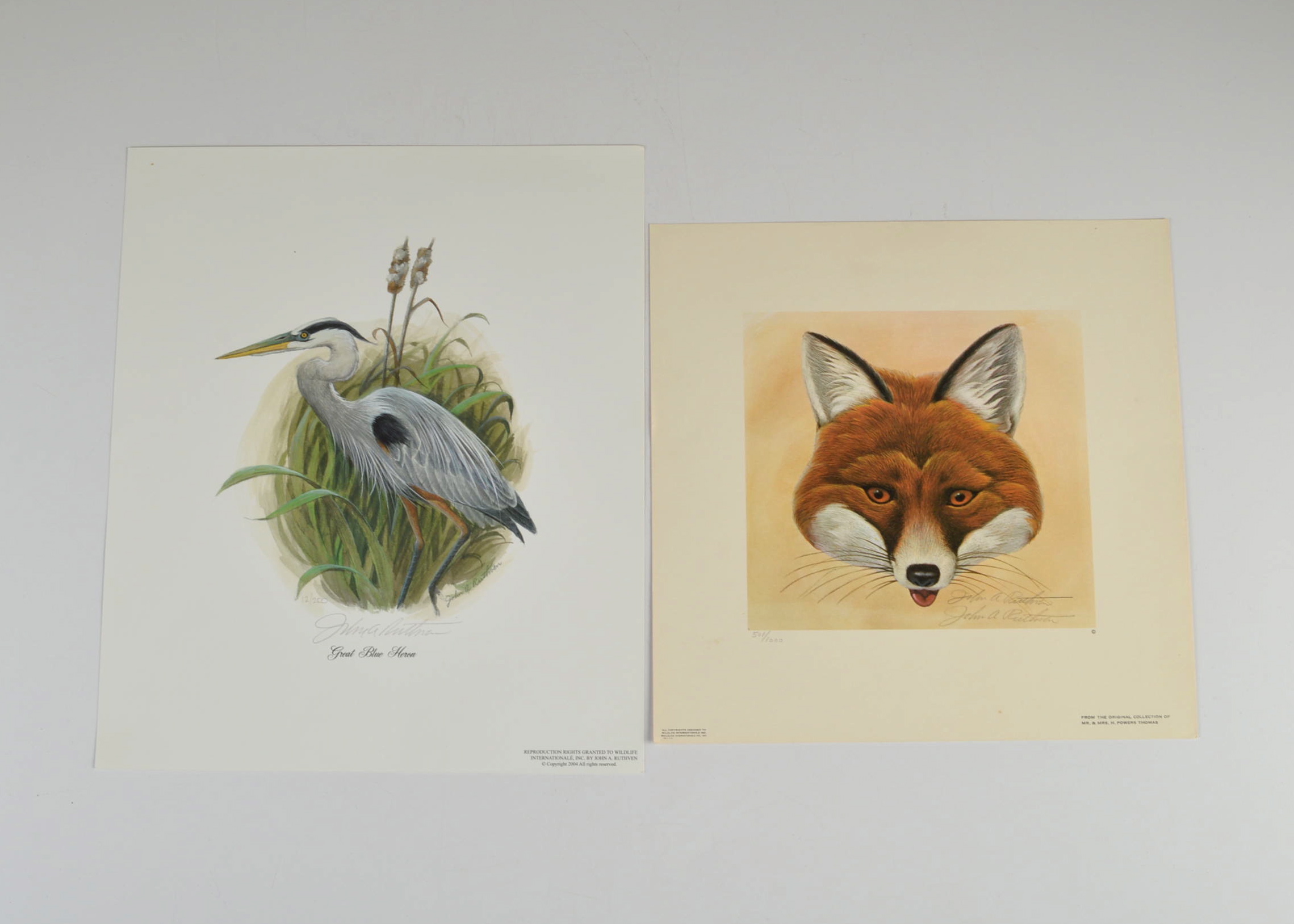 Two Pencil Signed and Numbered John Ruthven Prints