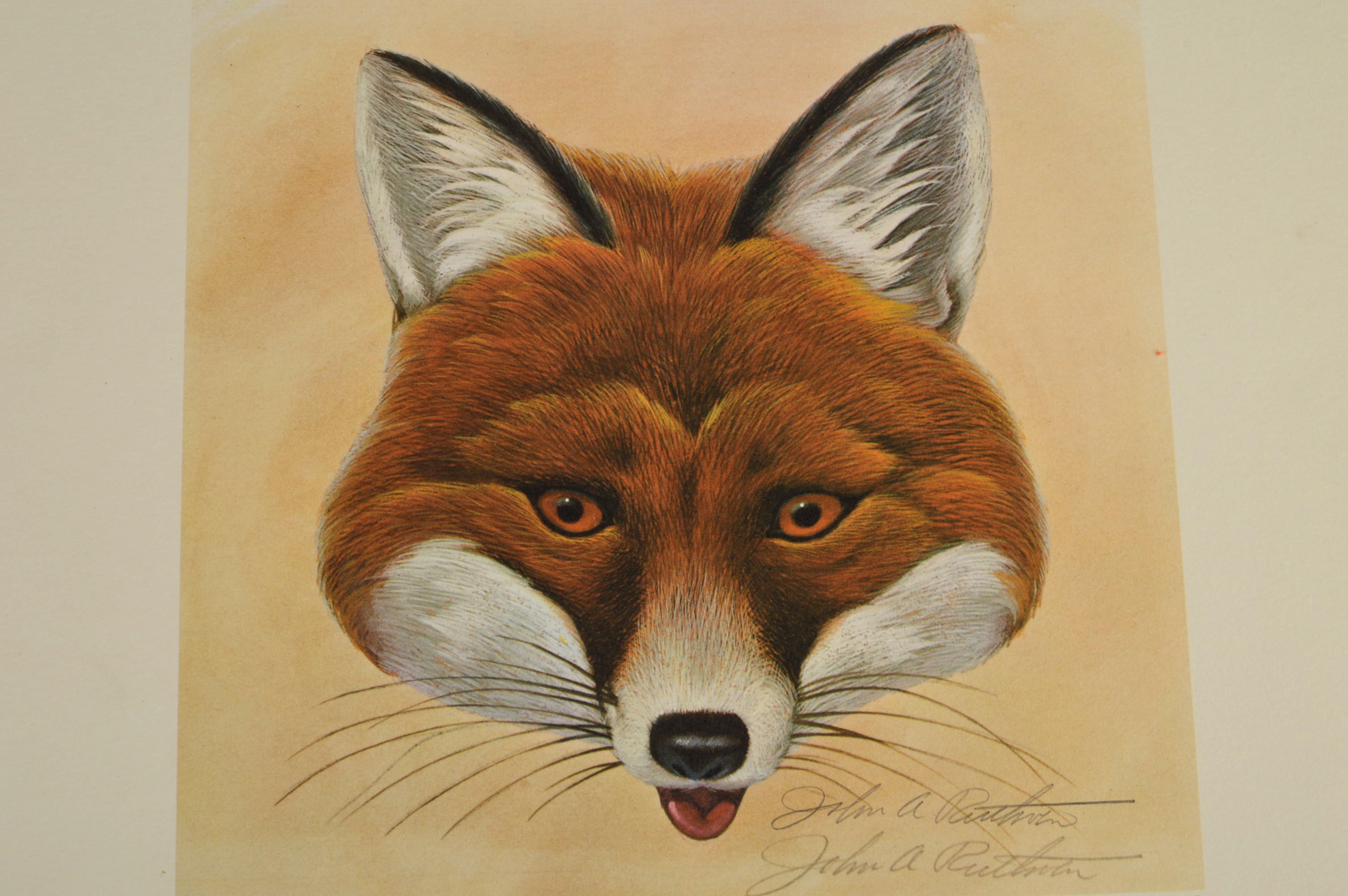 Two Pencil Signed and Numbered John Ruthven Prints