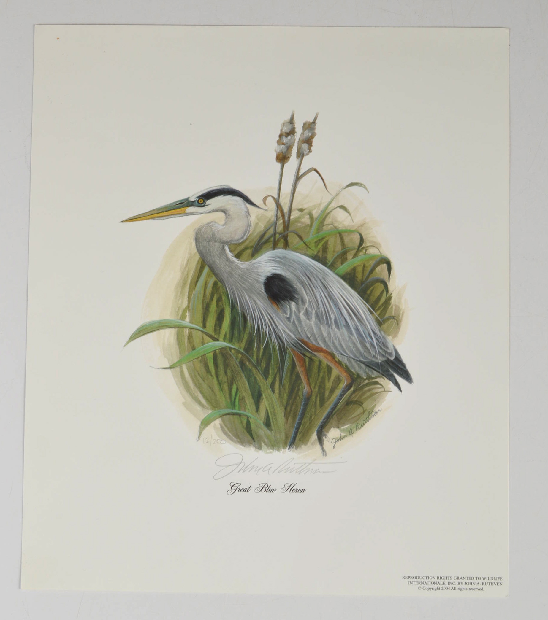 Two Pencil Signed and Numbered John Ruthven Prints