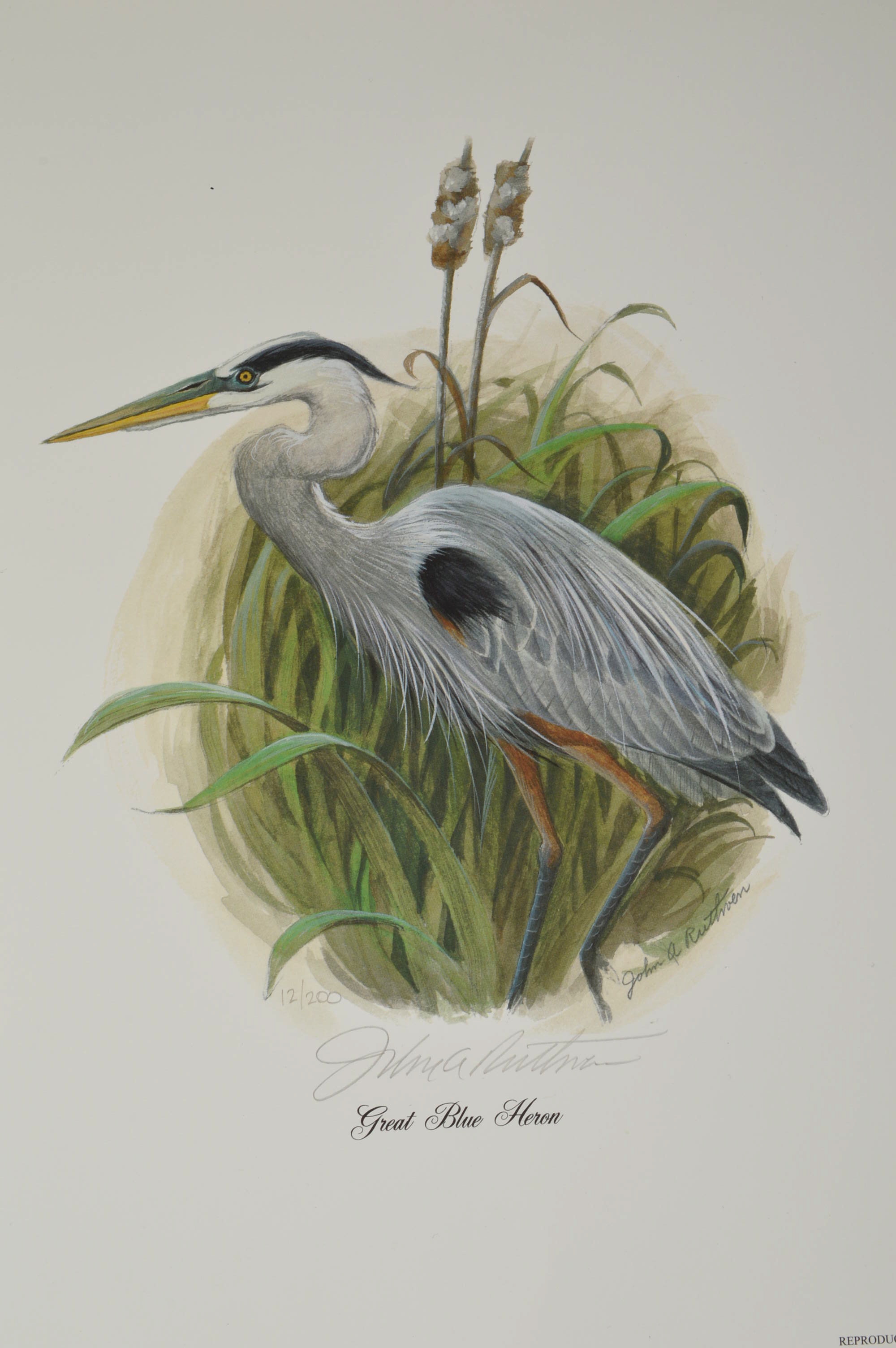 Two Pencil Signed and Numbered John Ruthven Prints