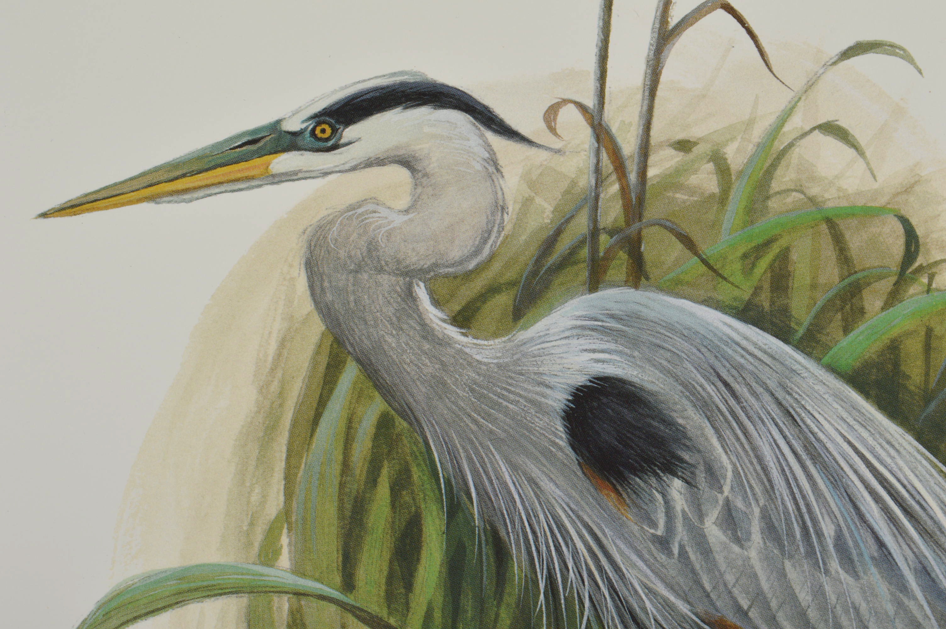 Two Pencil Signed and Numbered John Ruthven Prints