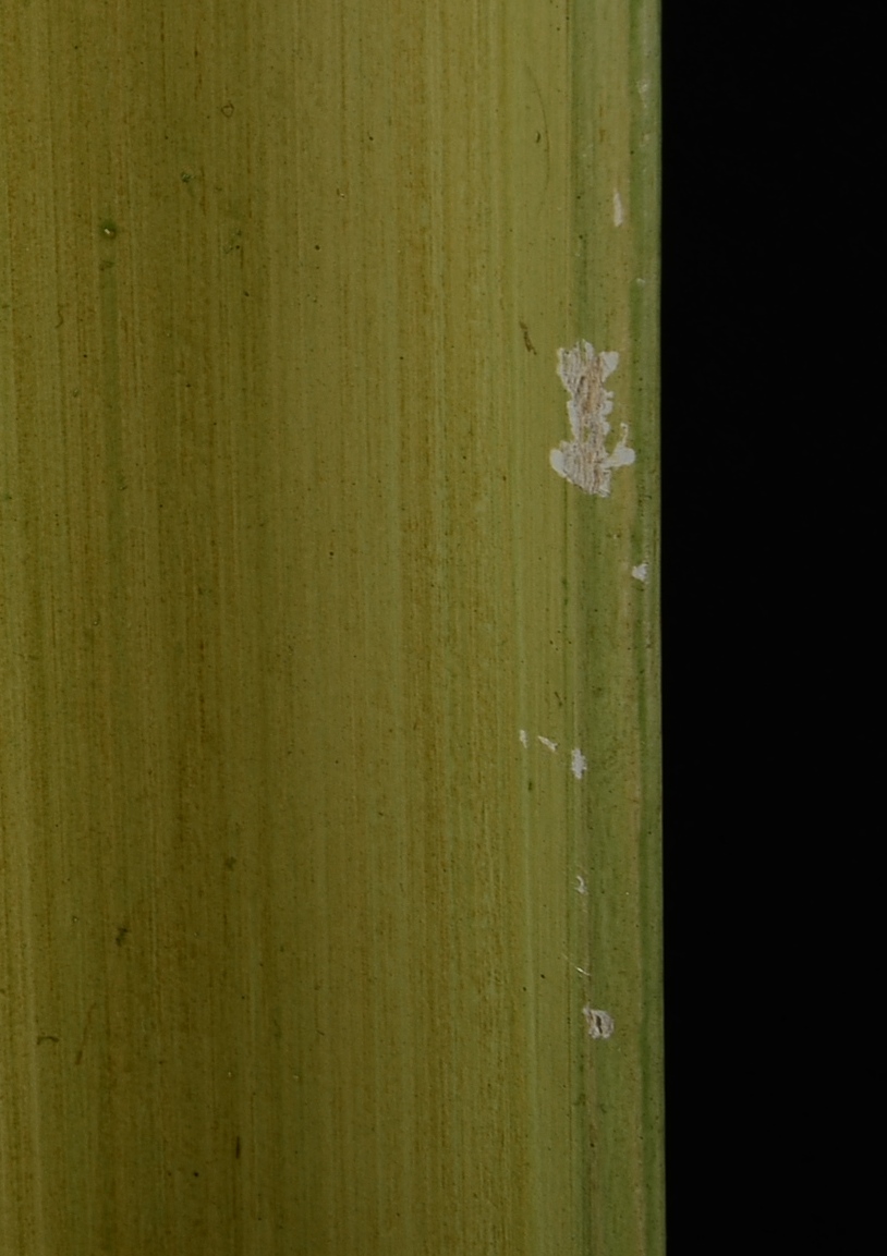 Original Francisco Riba Rovira Oil on Board Painting