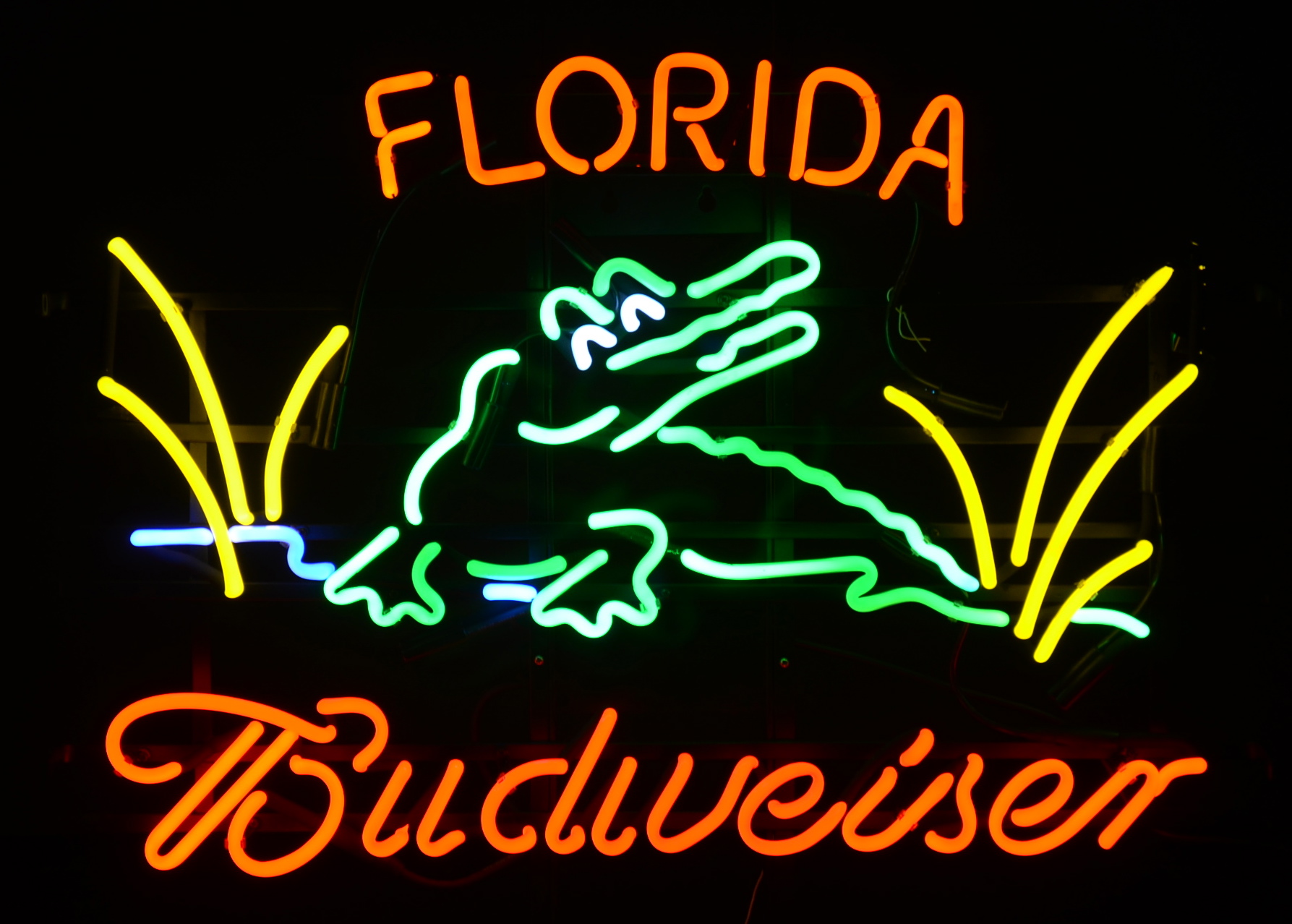 Stunning University of Florida/Budweiser "Gator" Neon Sign