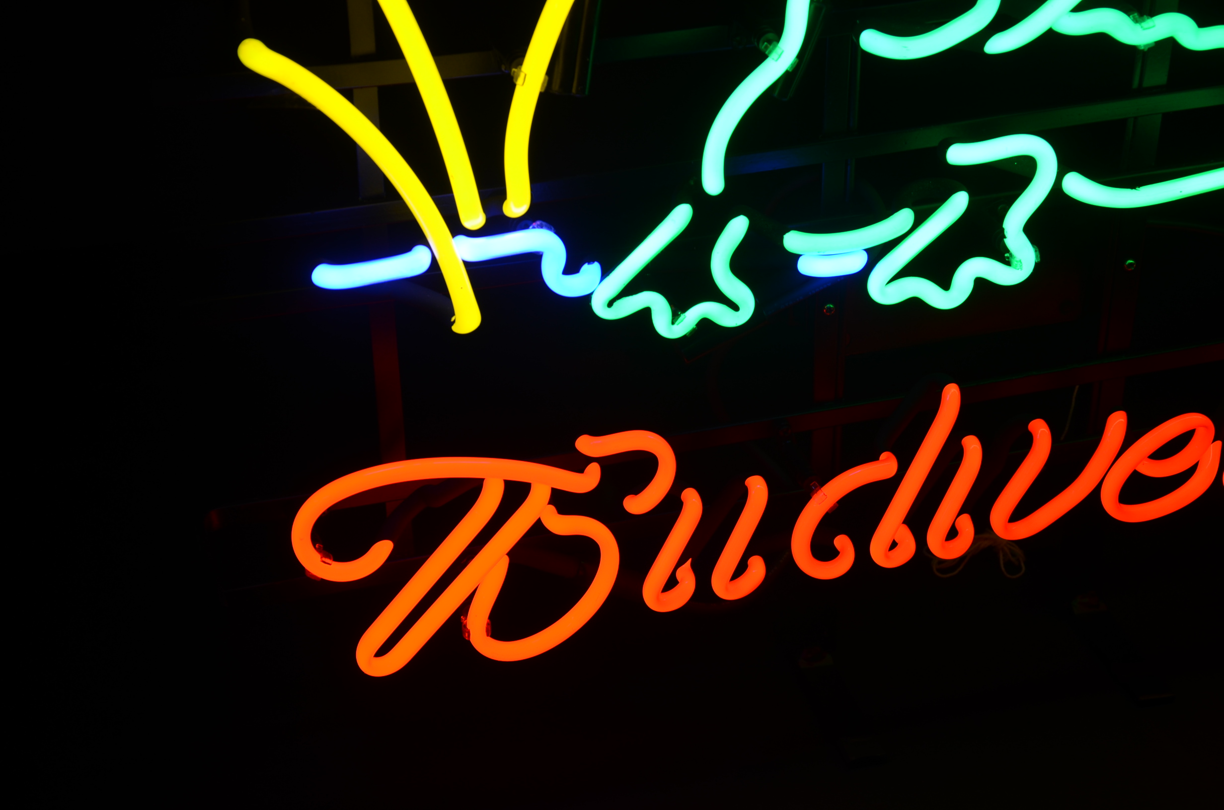 Stunning University of Florida/Budweiser "Gator" Neon Sign