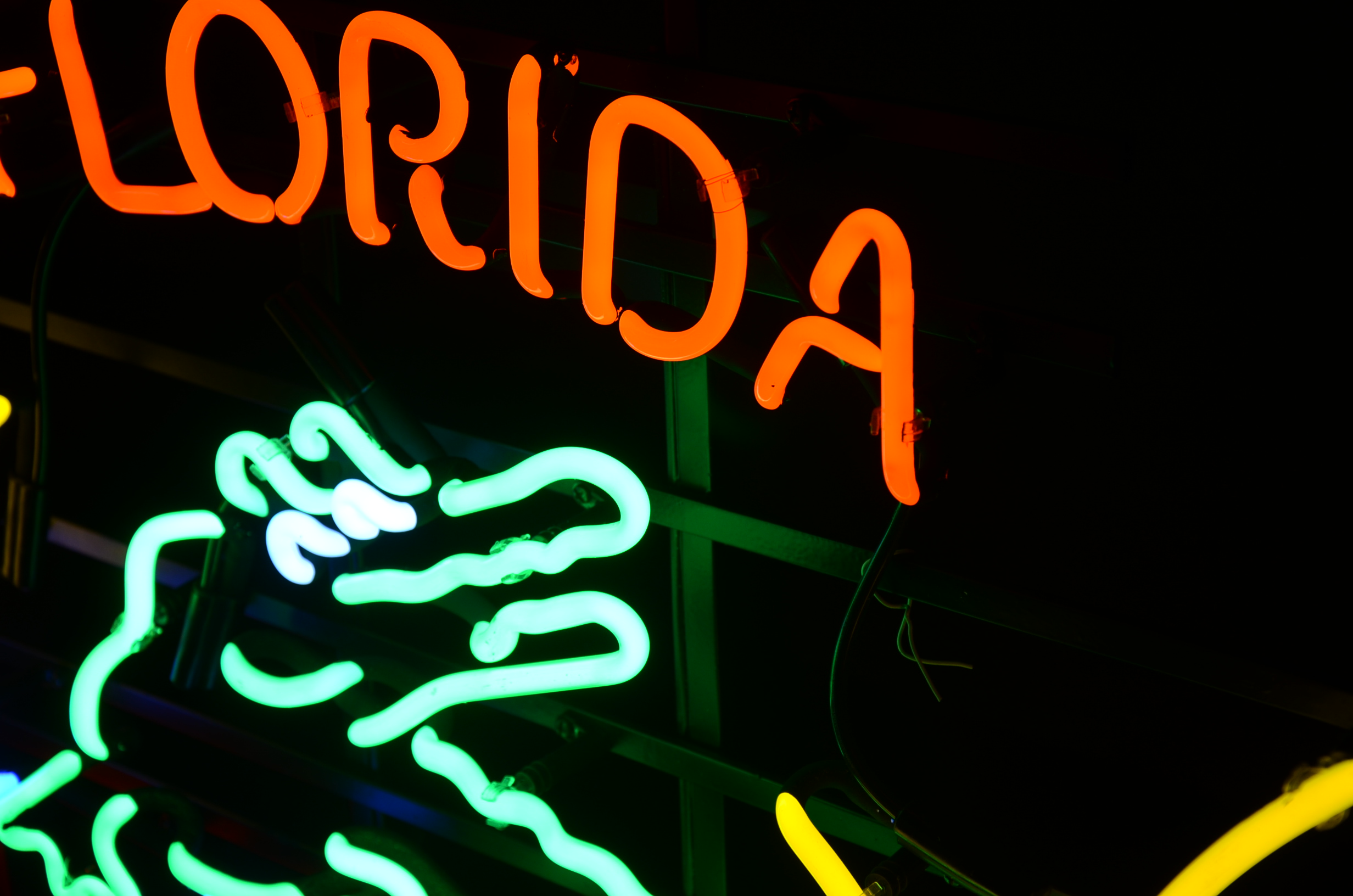 Stunning University of Florida/Budweiser "Gator" Neon Sign