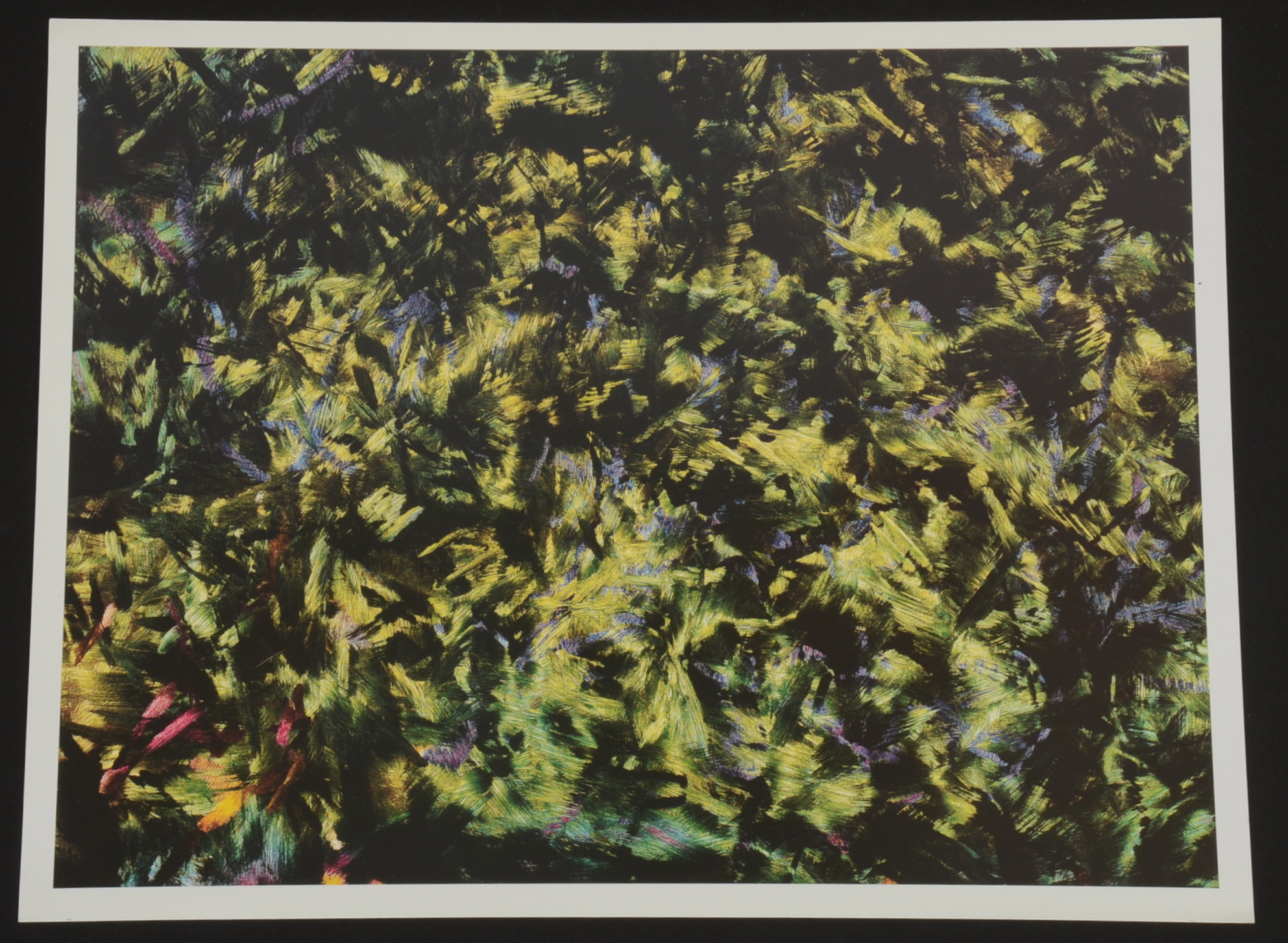 Framed Cibachrome Print Tilted "Pacific Light #30" by Jay Dunitz