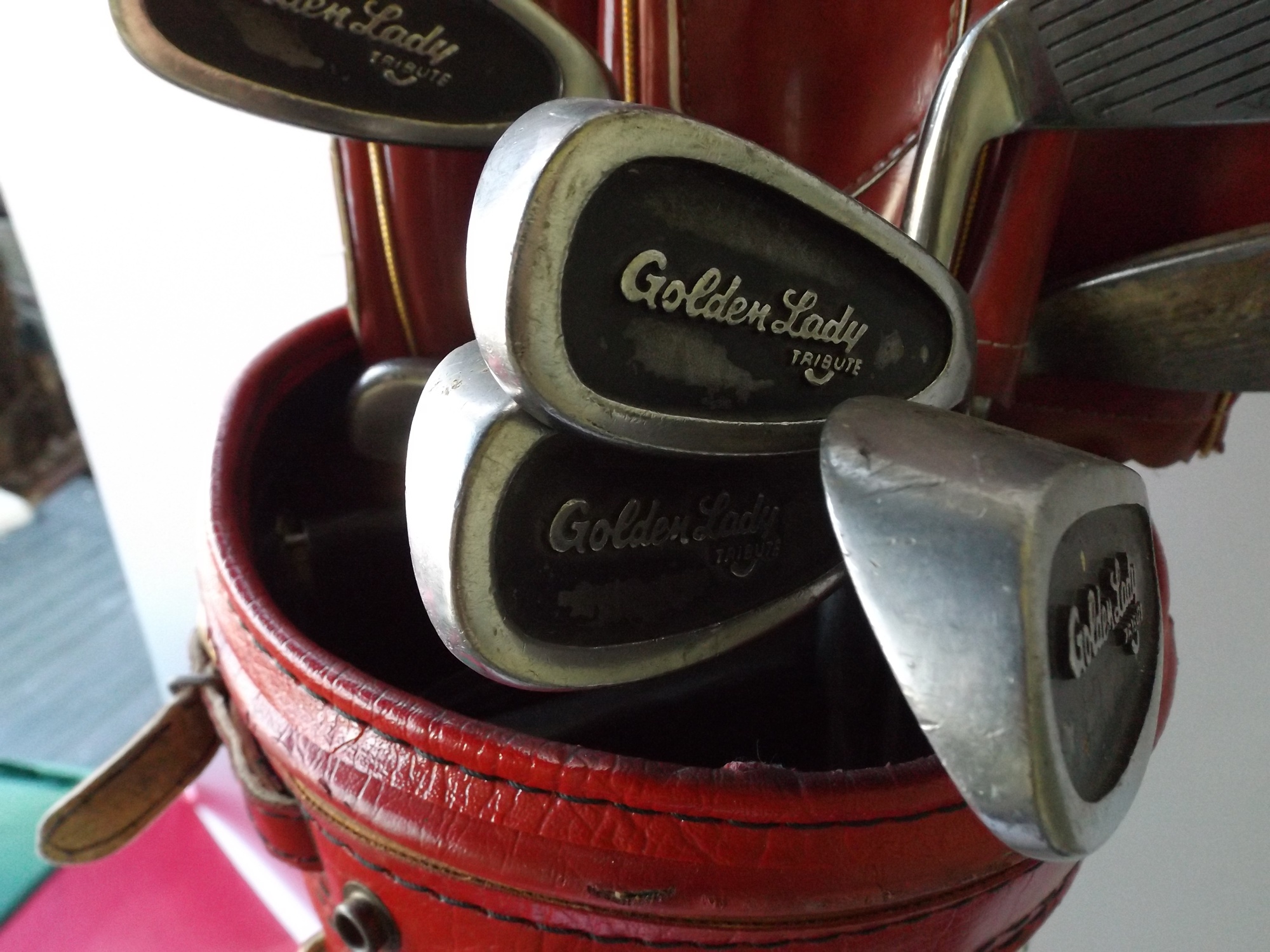 Vintage Ben Hogan Golf Bag and Golden Lady Clubs