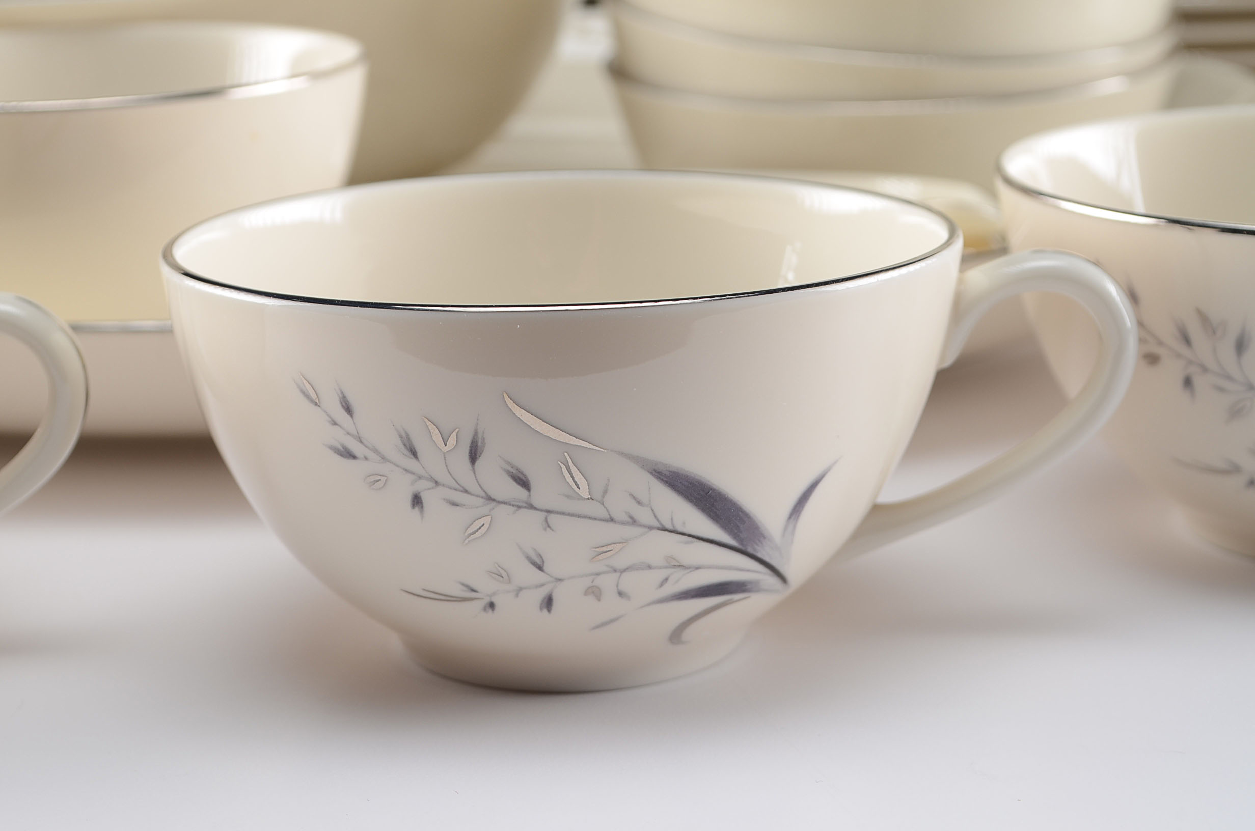 Gorgeous Pickard Fine China Set