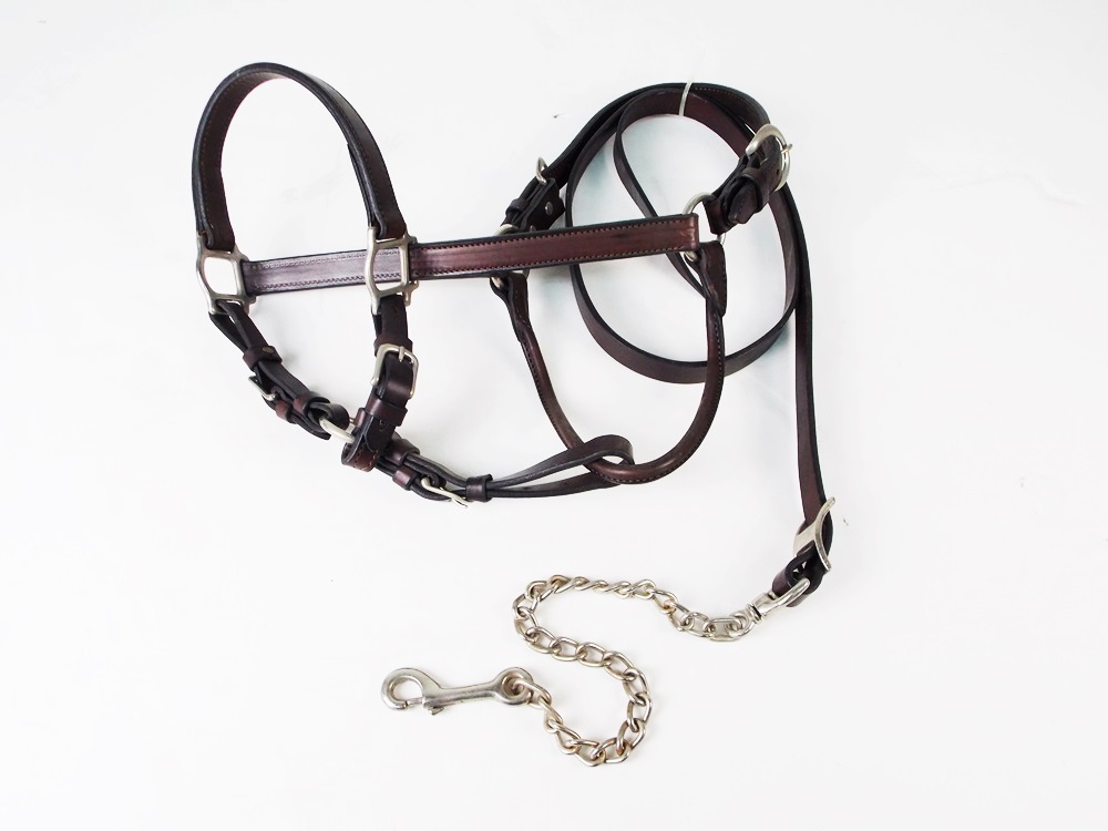 A New and Unused Leather Horse Halter and Coordinating Lead