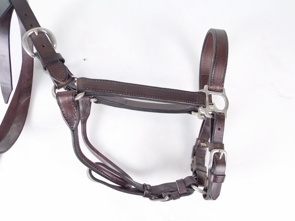 A New and Unused Leather Horse Halter and Coordinating Lead