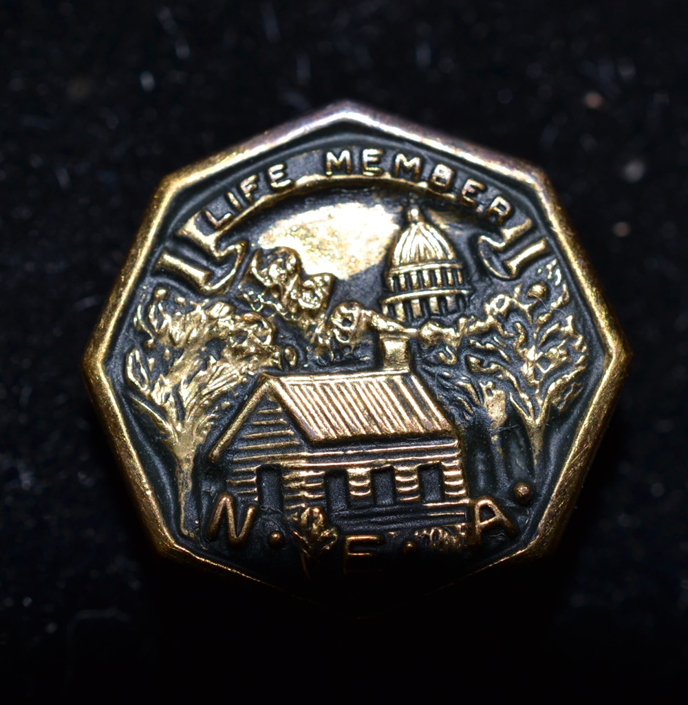 Two Vintage National Education Association Lapel Pins