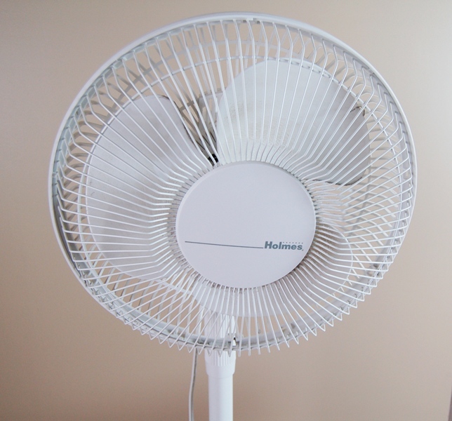 Holmes Fan and Lakewood Space Heater