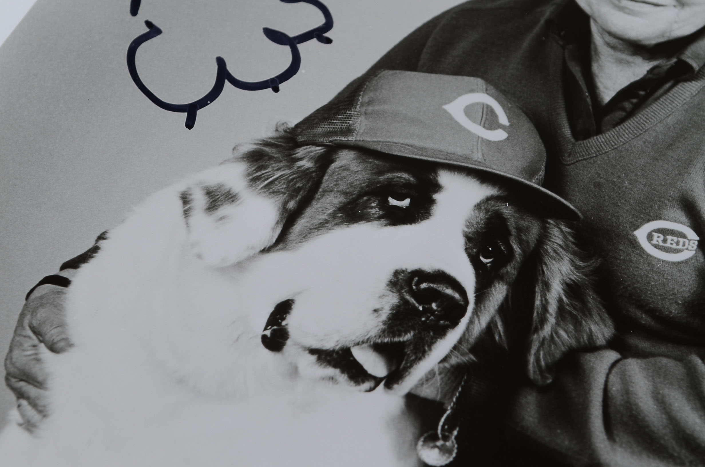 Former Reds Owner Marge Schott Signed Baseball Photo