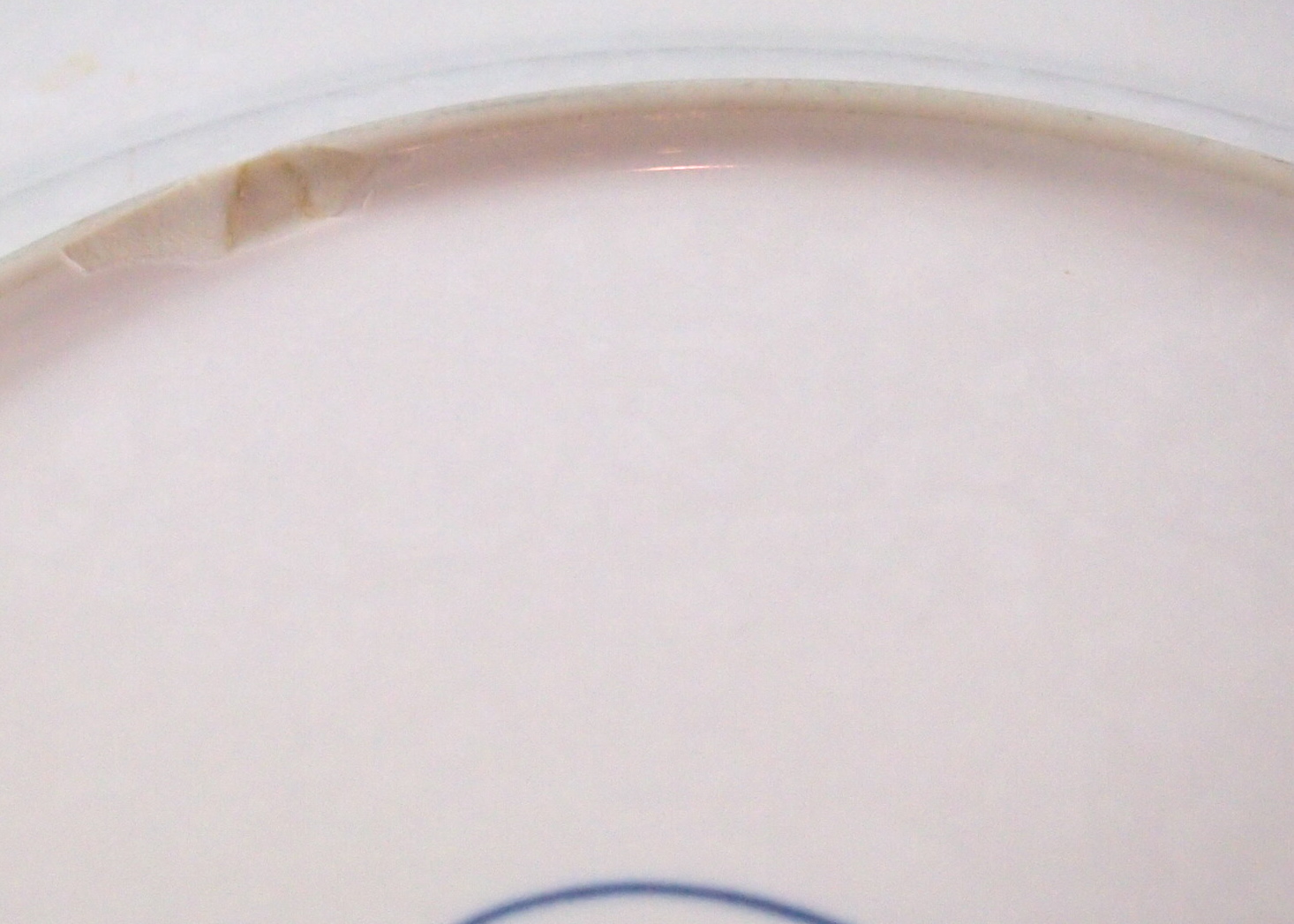 Savoir Vivre "Chantilly Blue" Dining Set