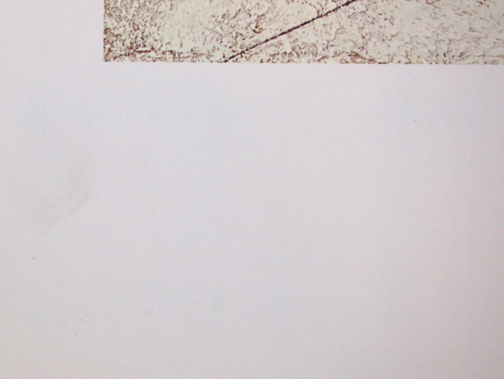 Hand Signed Norman Rockwell "Art Critic" 1955 Poster Print