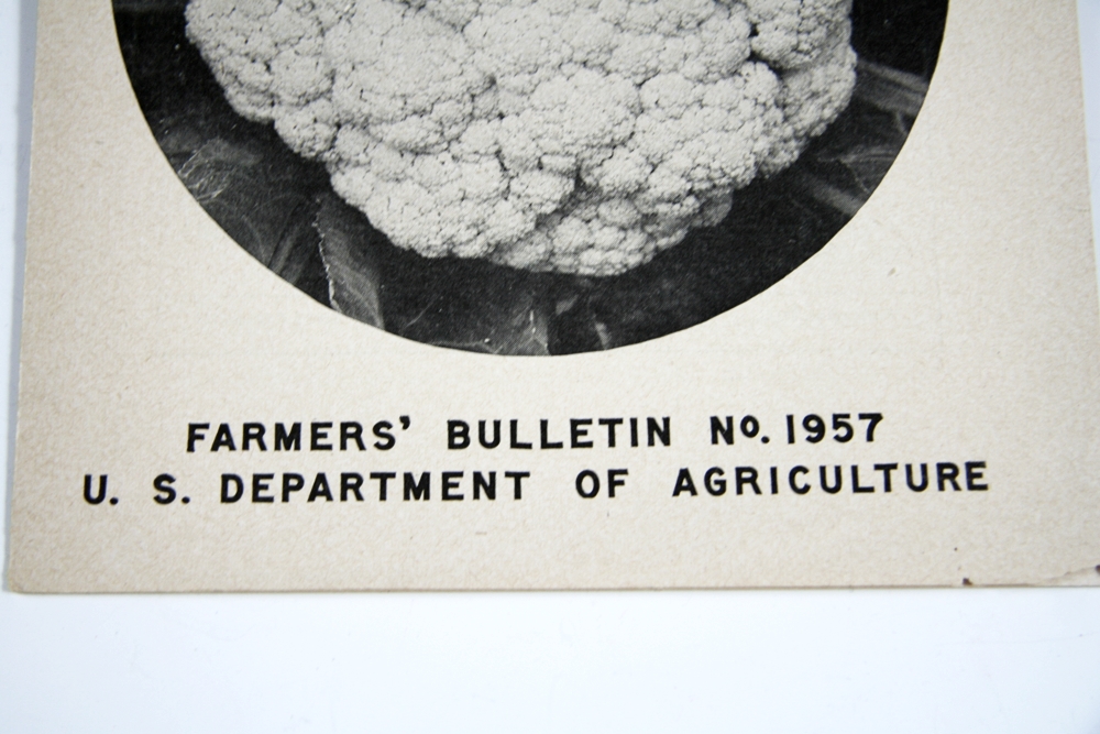 Vintage Gardening Magazines