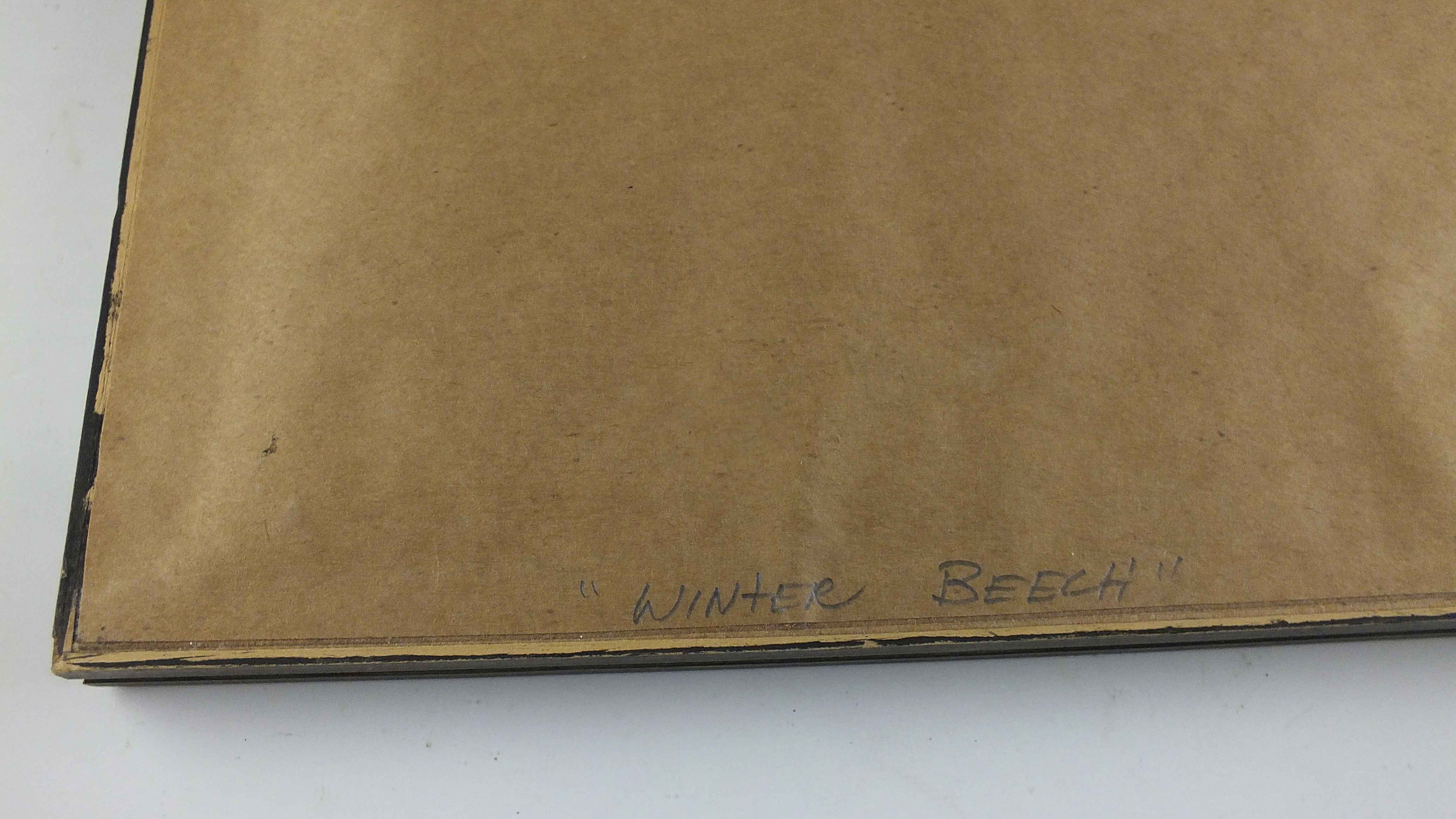 Steve Perucca Original Woodland  Painting