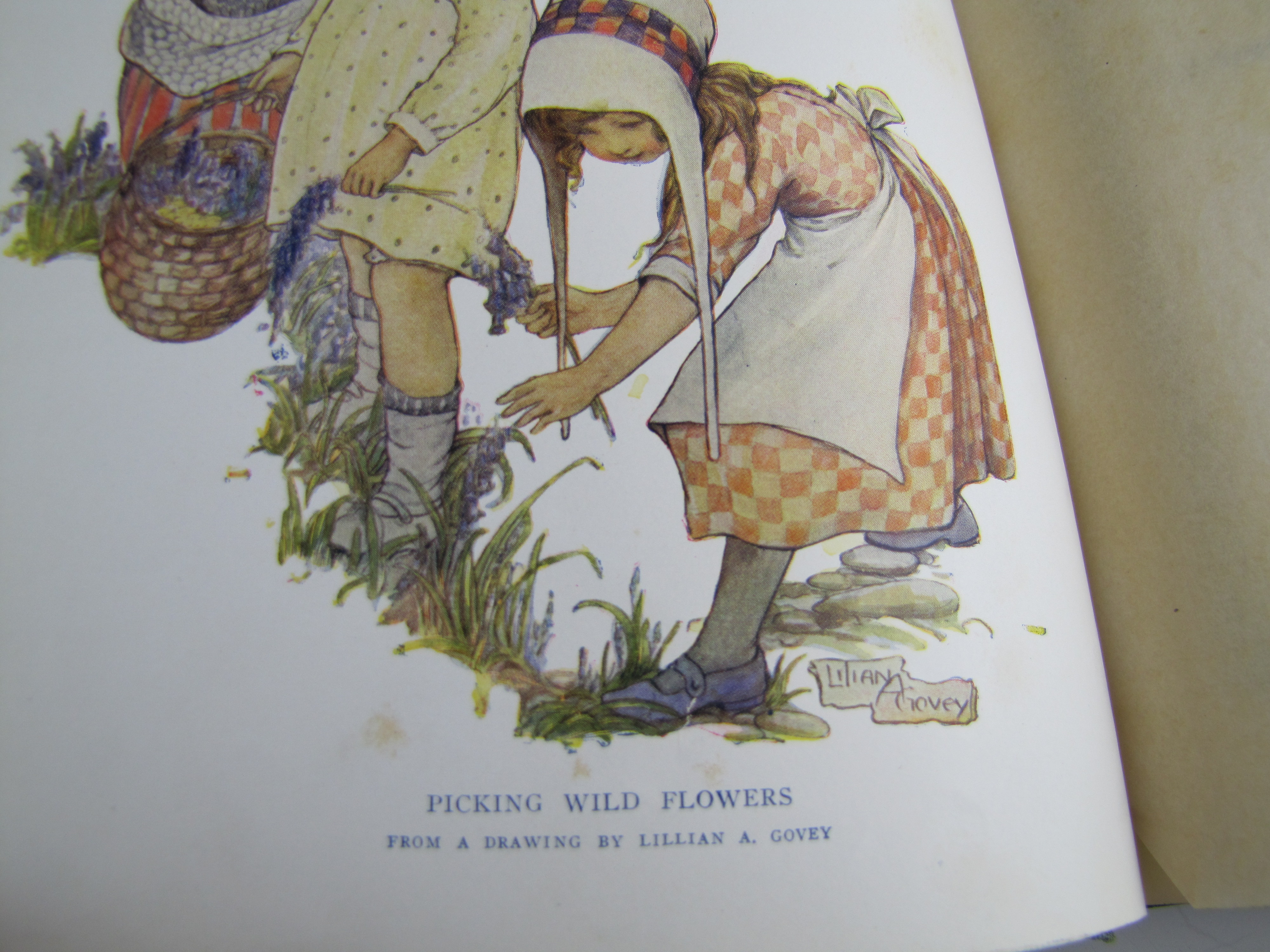 1920s Youth Book Sets