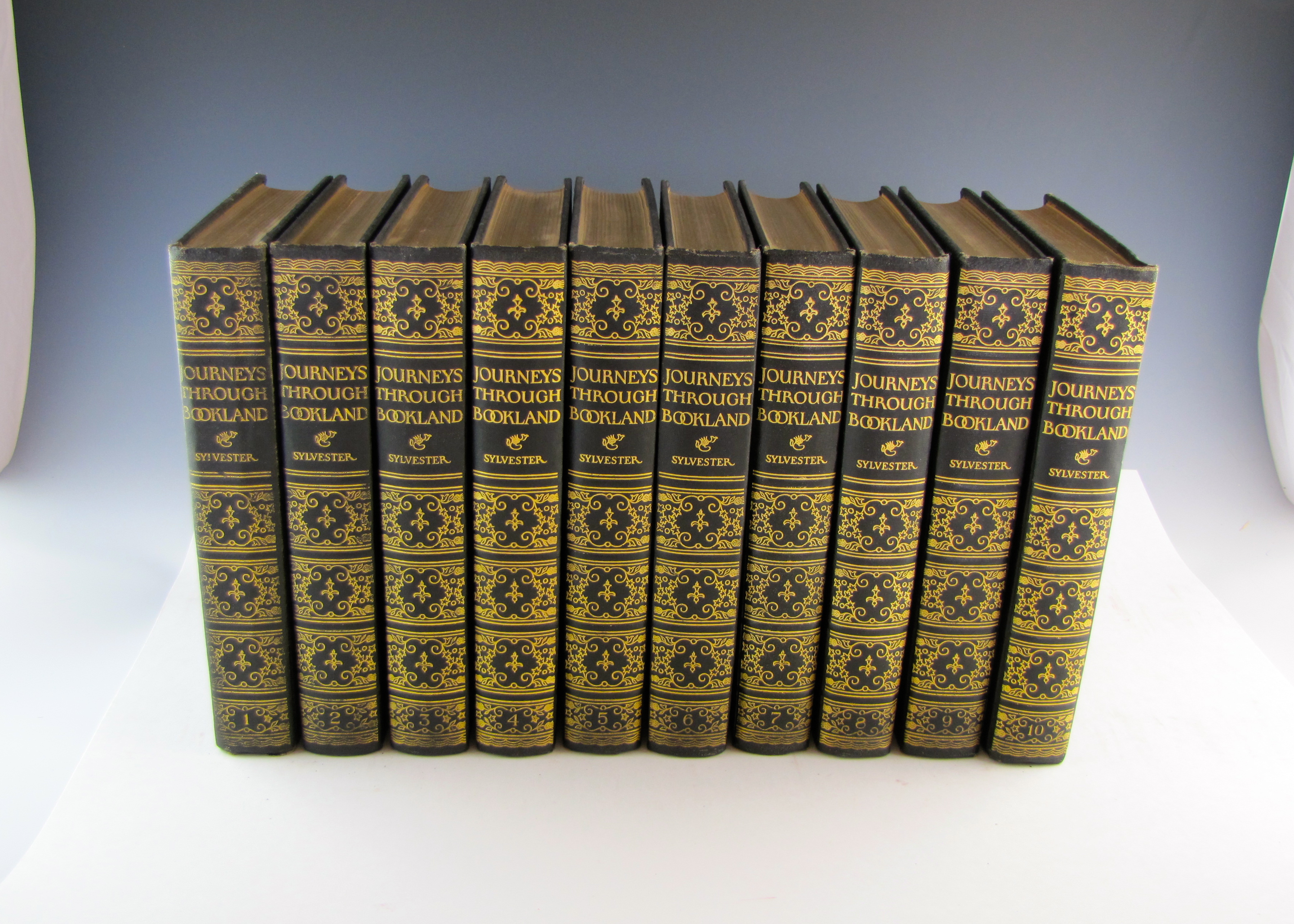 1920s Youth Book Sets