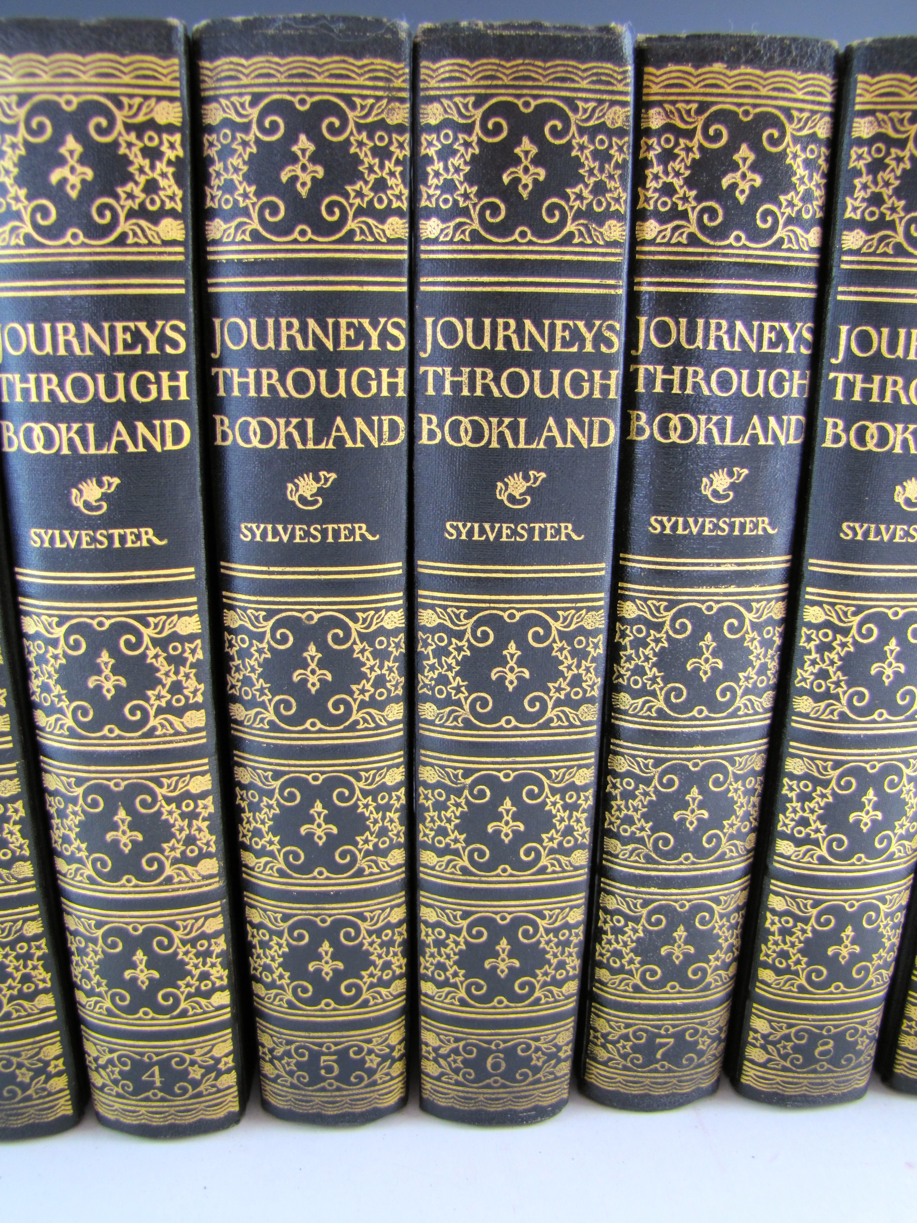 1920s Youth Book Sets