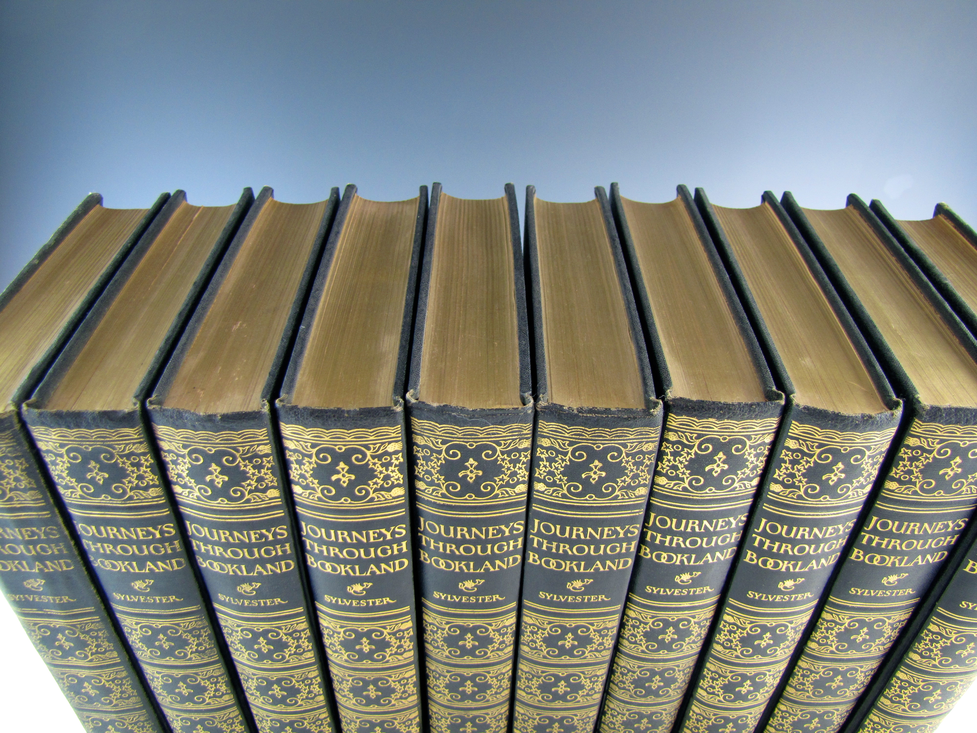 1920s Youth Book Sets