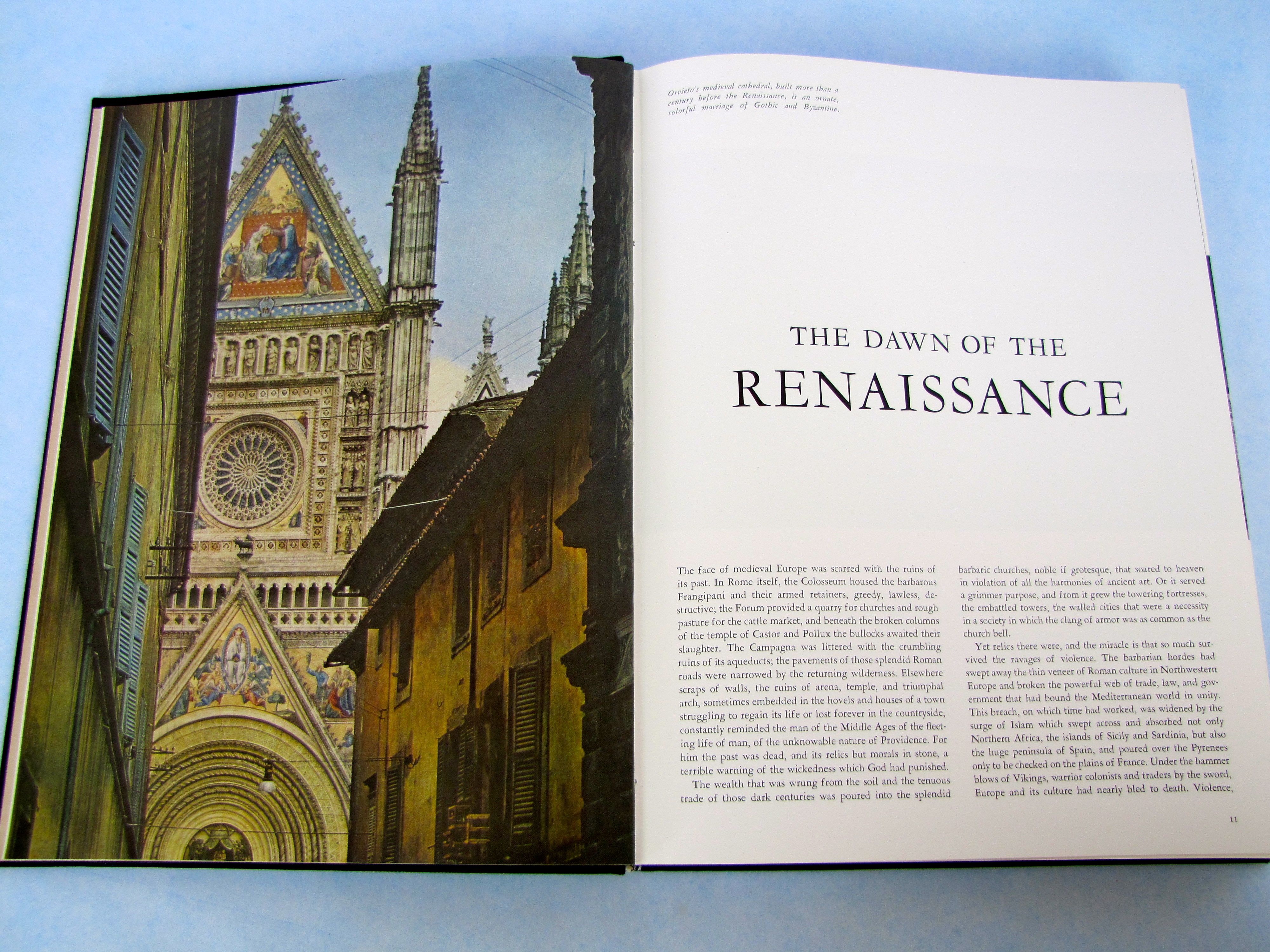 Illustrated Art History Coffee Table Books 