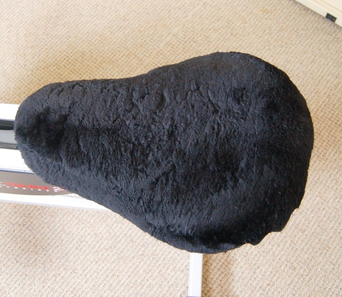 Aerobic Rider 2 by HealthRider