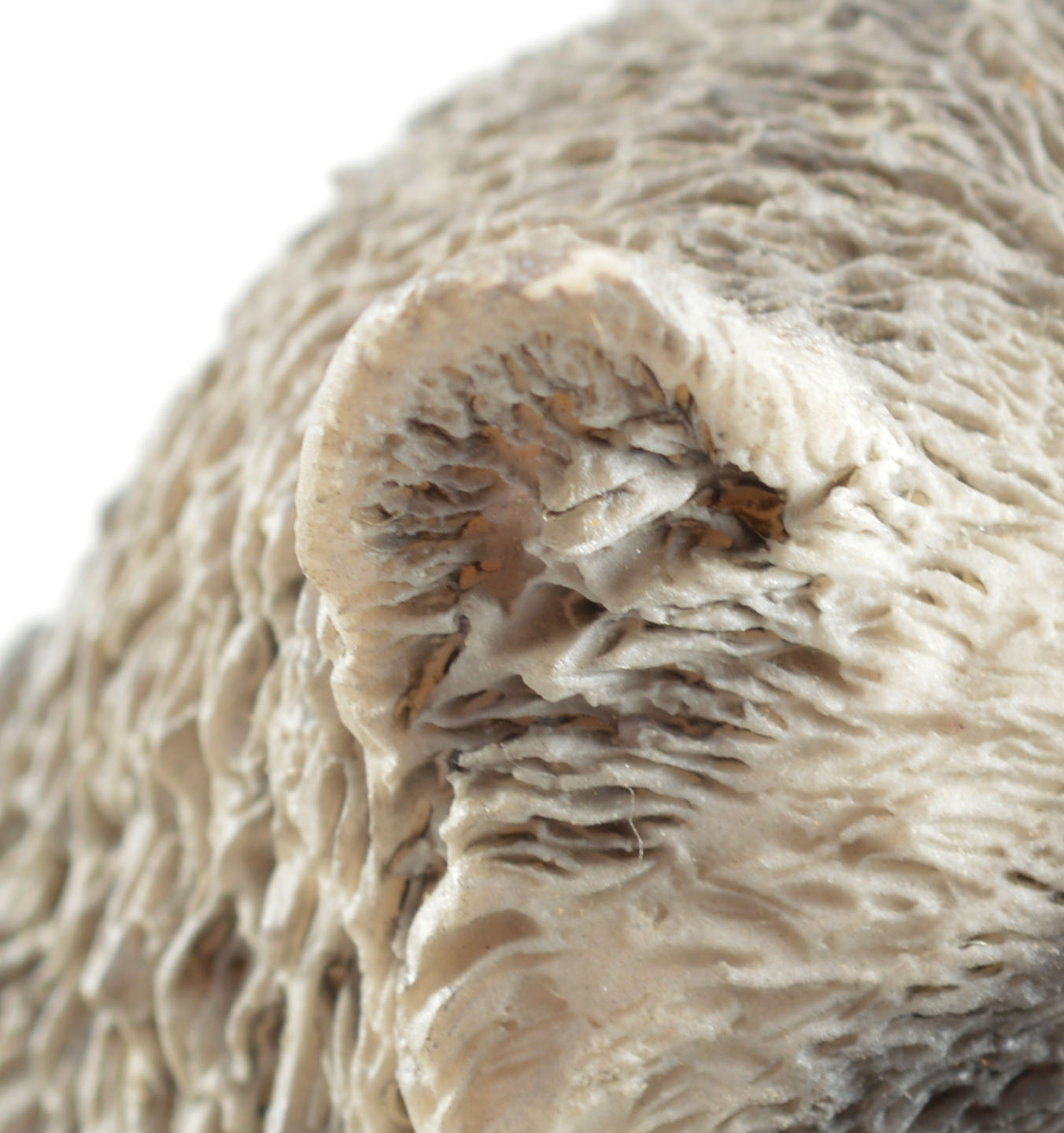 Pair of Castagna Figurines