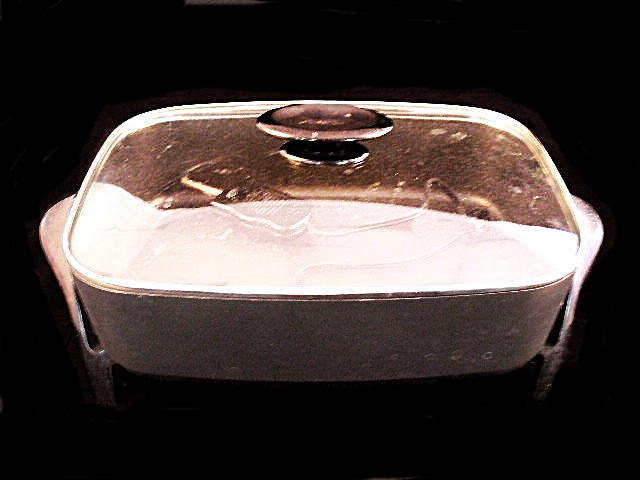 Presto Electric Roaster/Fryer and a Hoffritz Pizza Trivet