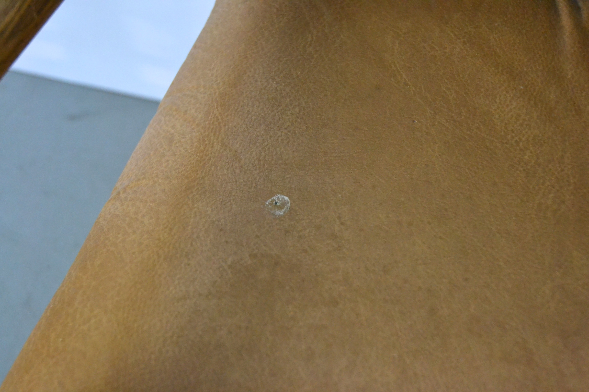 Mid-Century Modern Leather Directors Chairs