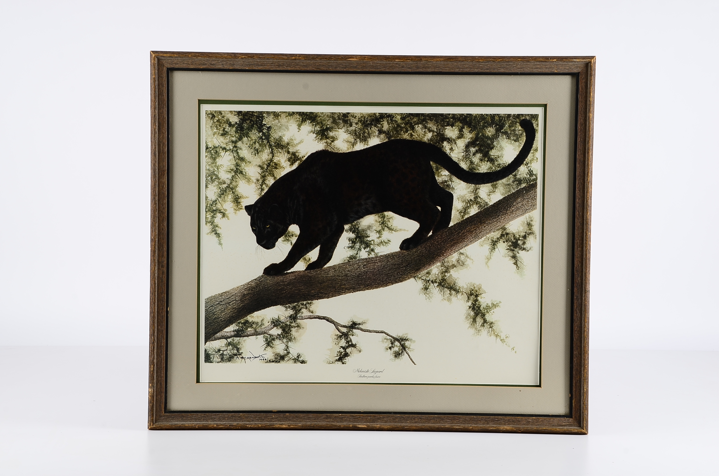 I.H. Farnsworth Signed Limited Edition Leopard Print