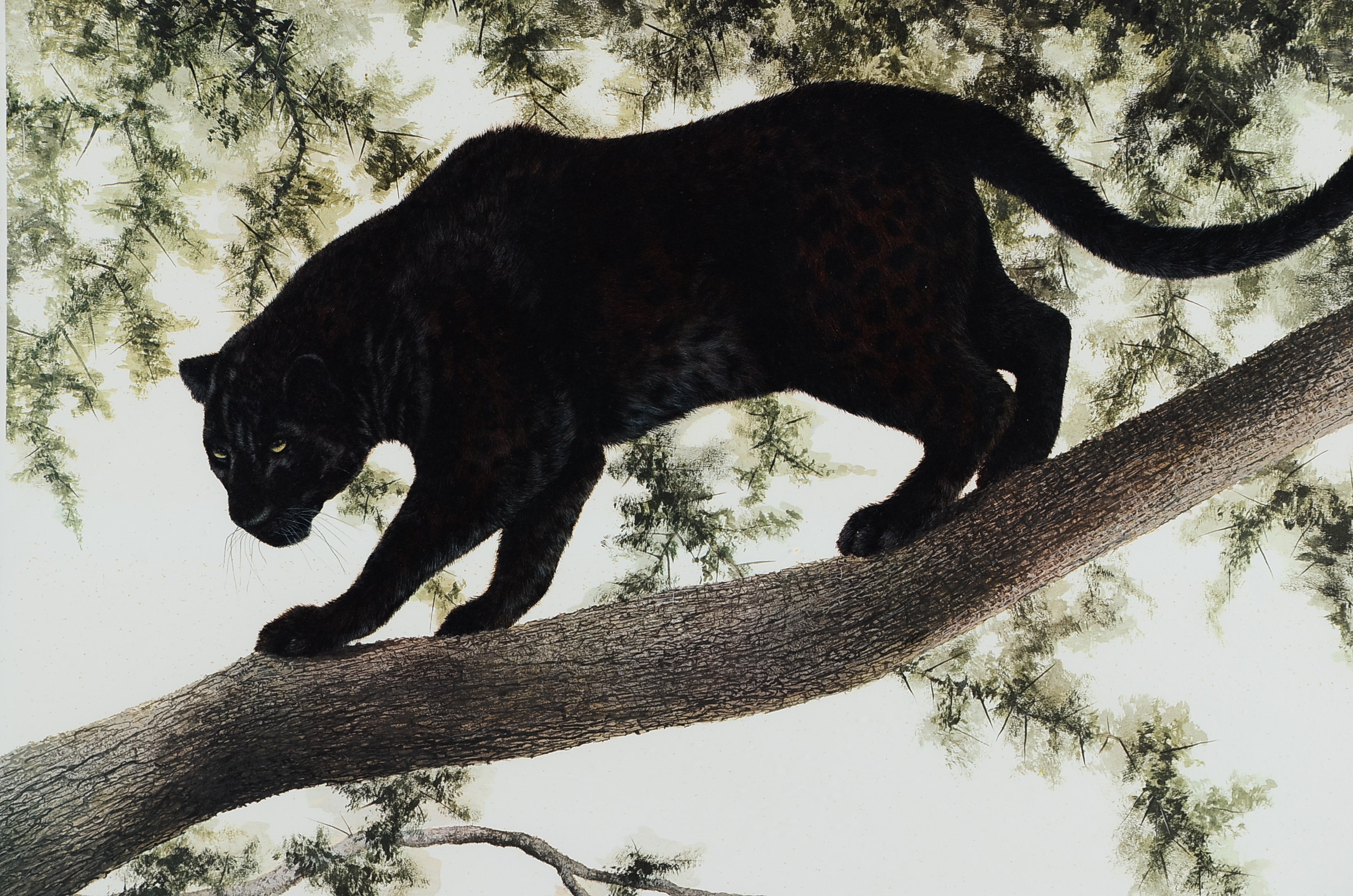 I.H. Farnsworth Signed Limited Edition Leopard Print