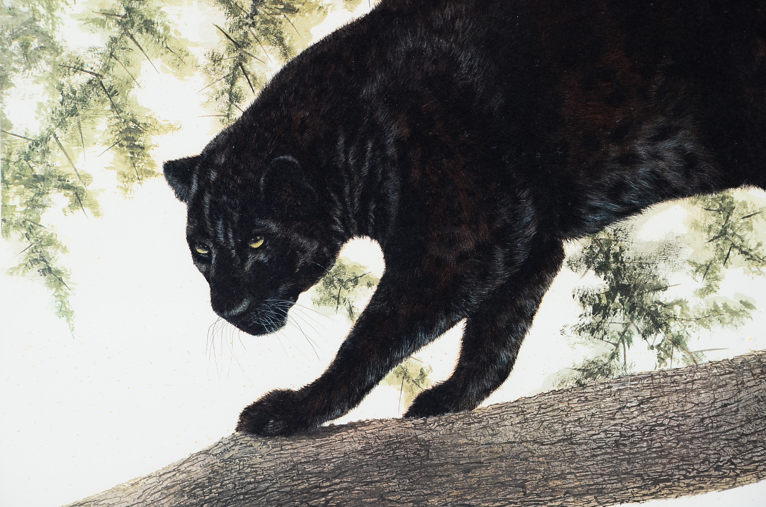 I.H. Farnsworth Signed Limited Edition Leopard Print