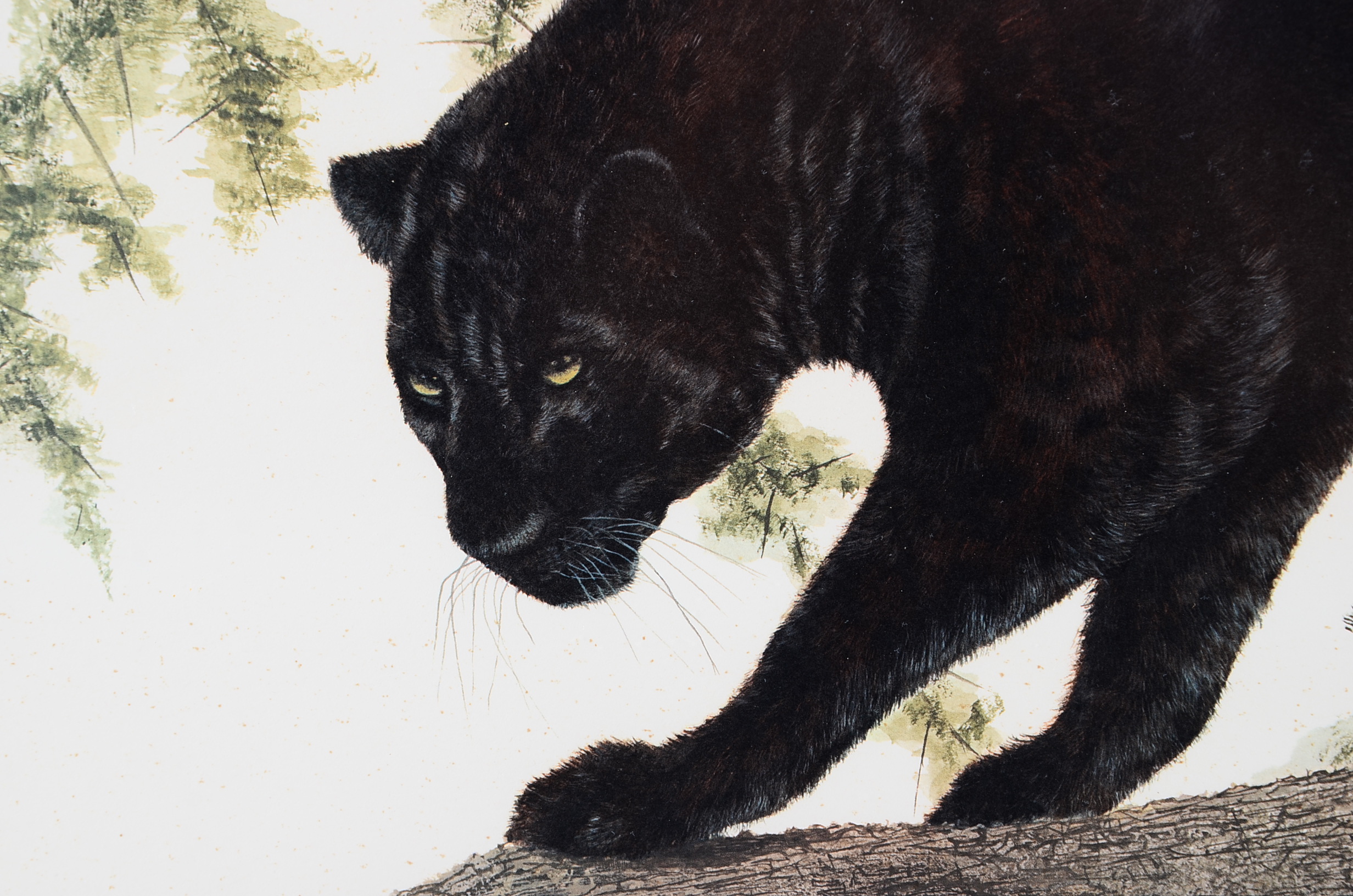 I.H. Farnsworth Signed Limited Edition Leopard Print