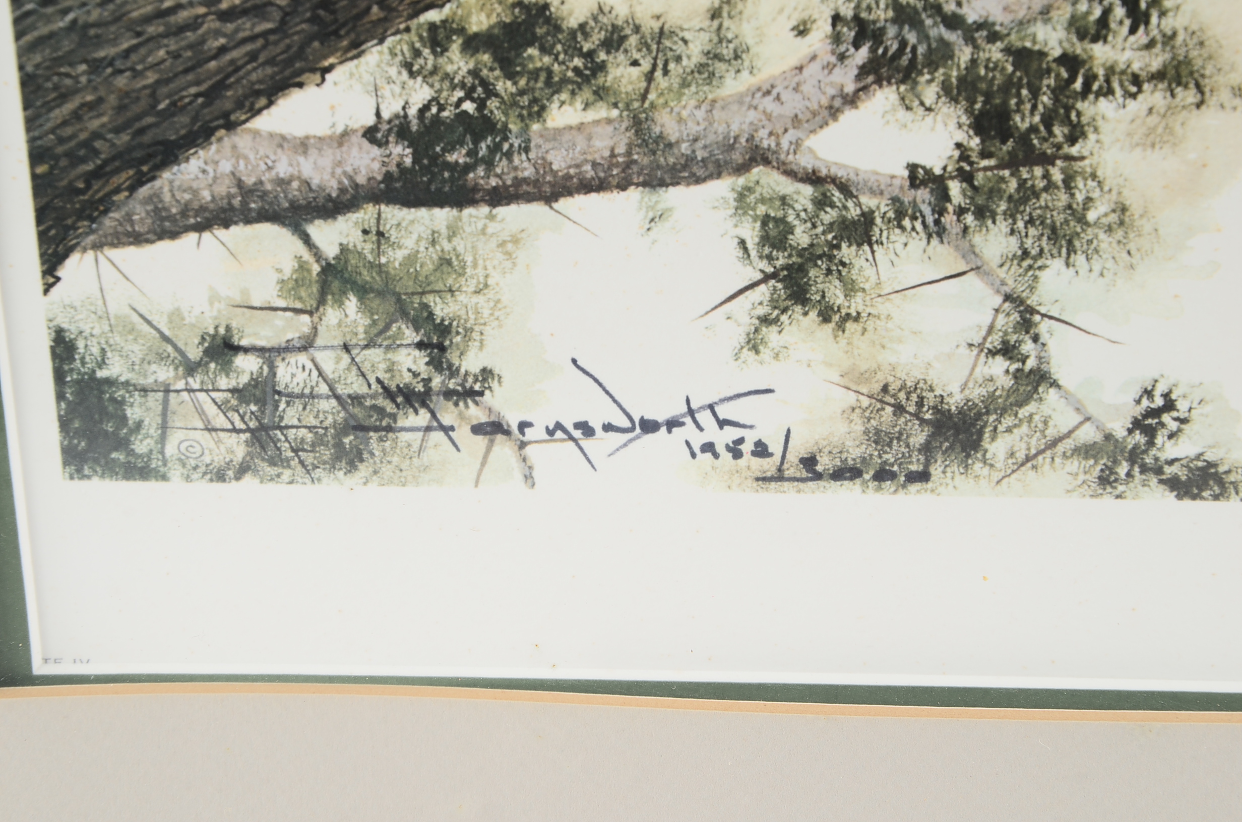 I.H. Farnsworth Signed Limited Edition Leopard Print