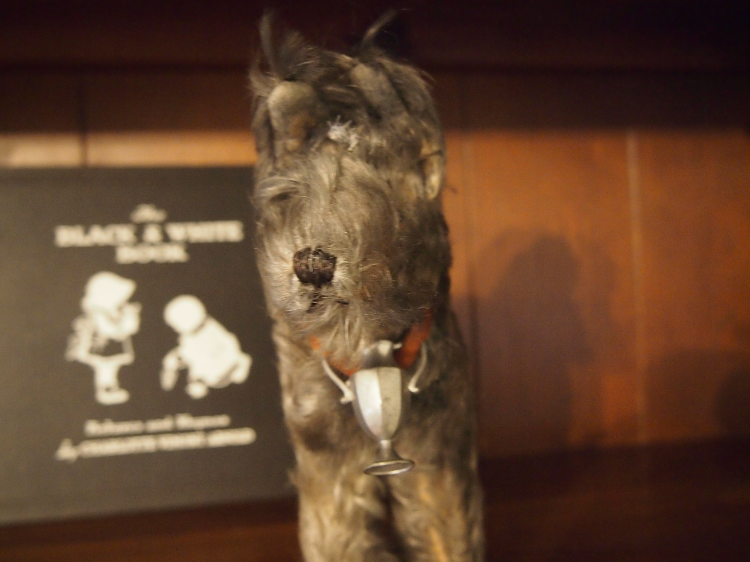 Vintage Toy Dog and Charlotte Vimont Arnold's "The Black & White Book"