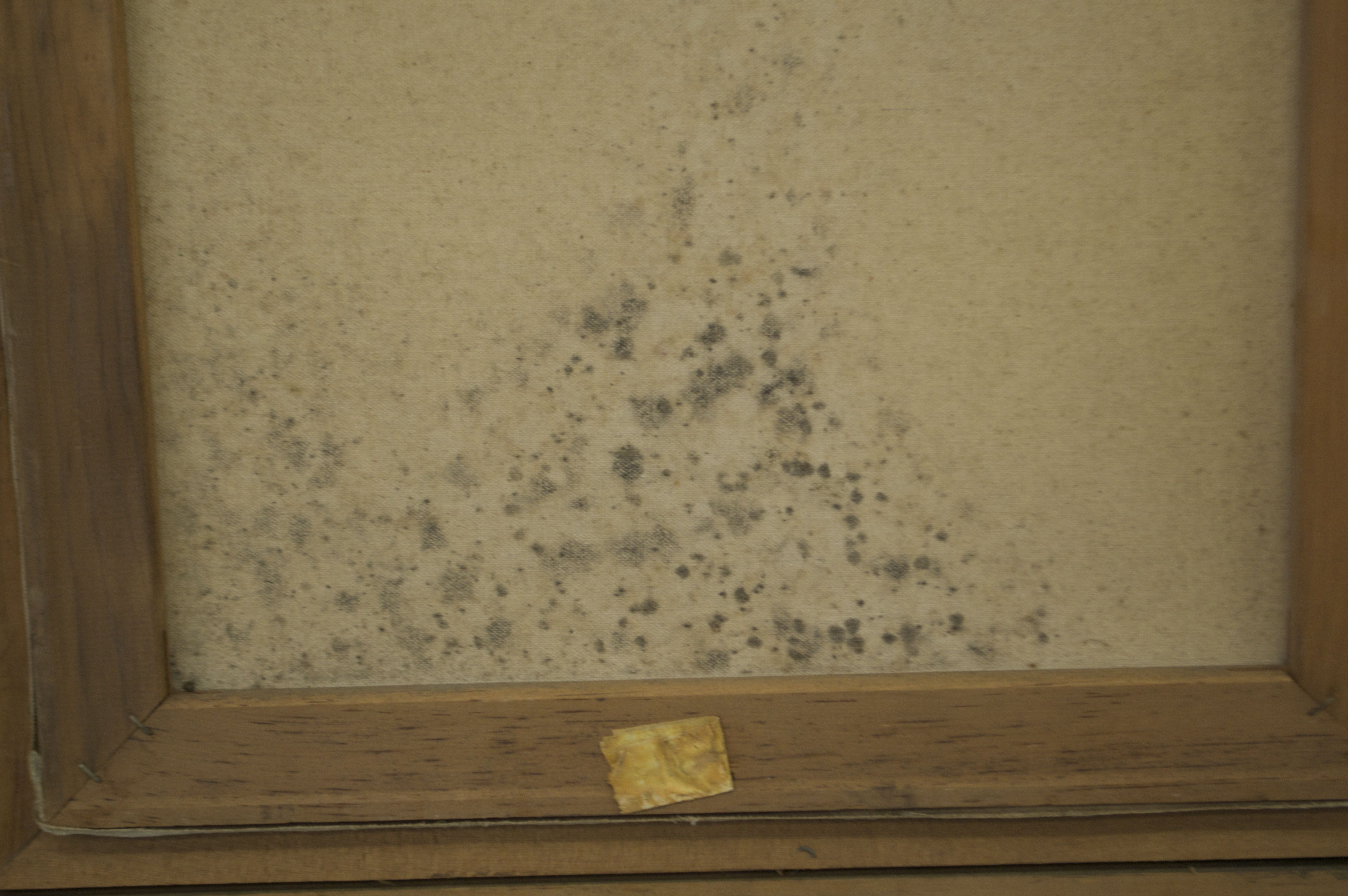 Framed Canvas Print of "Broken Silence" by Joseph Wallace King